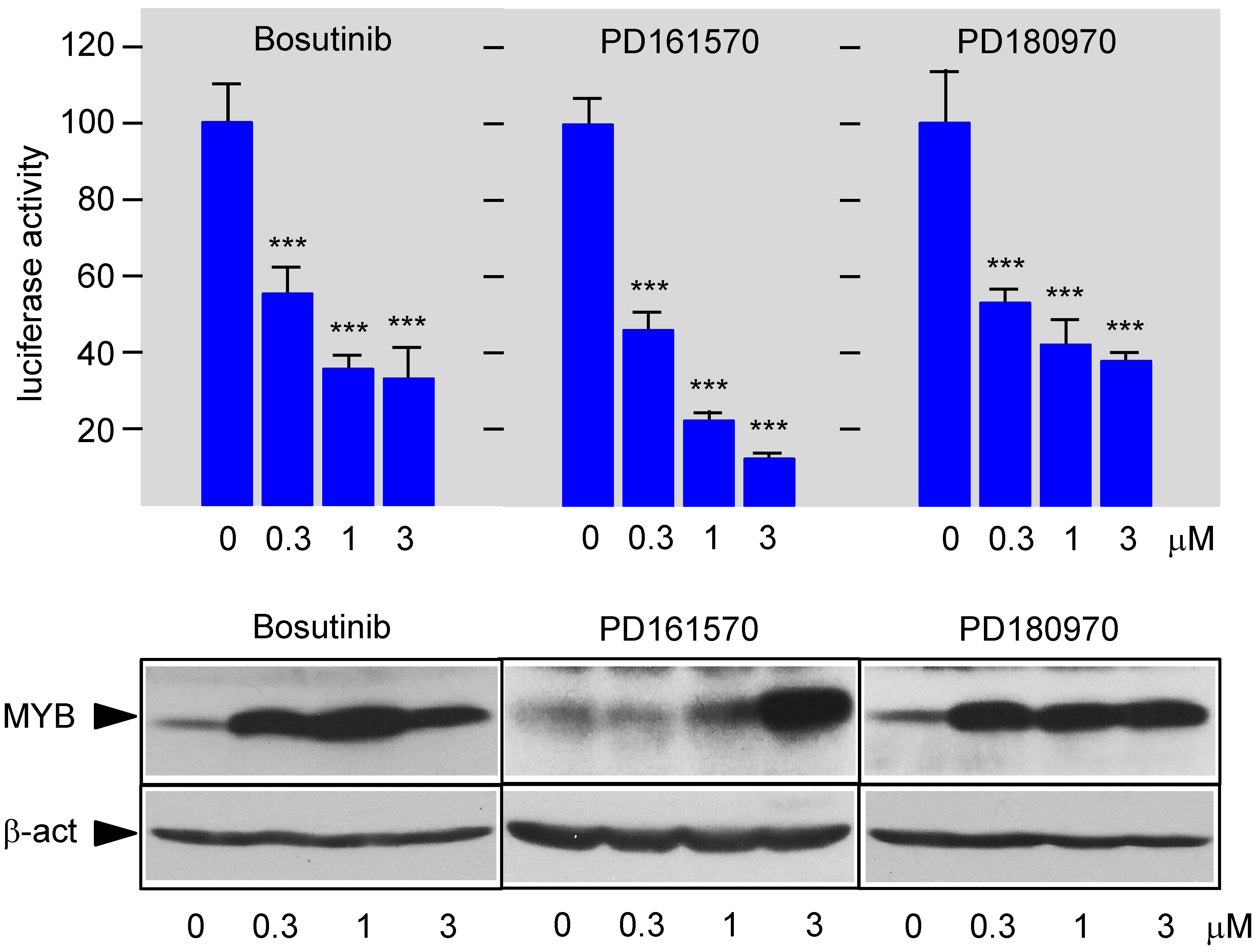 Cells 11 01162 g004 Cells 11 01162 g004