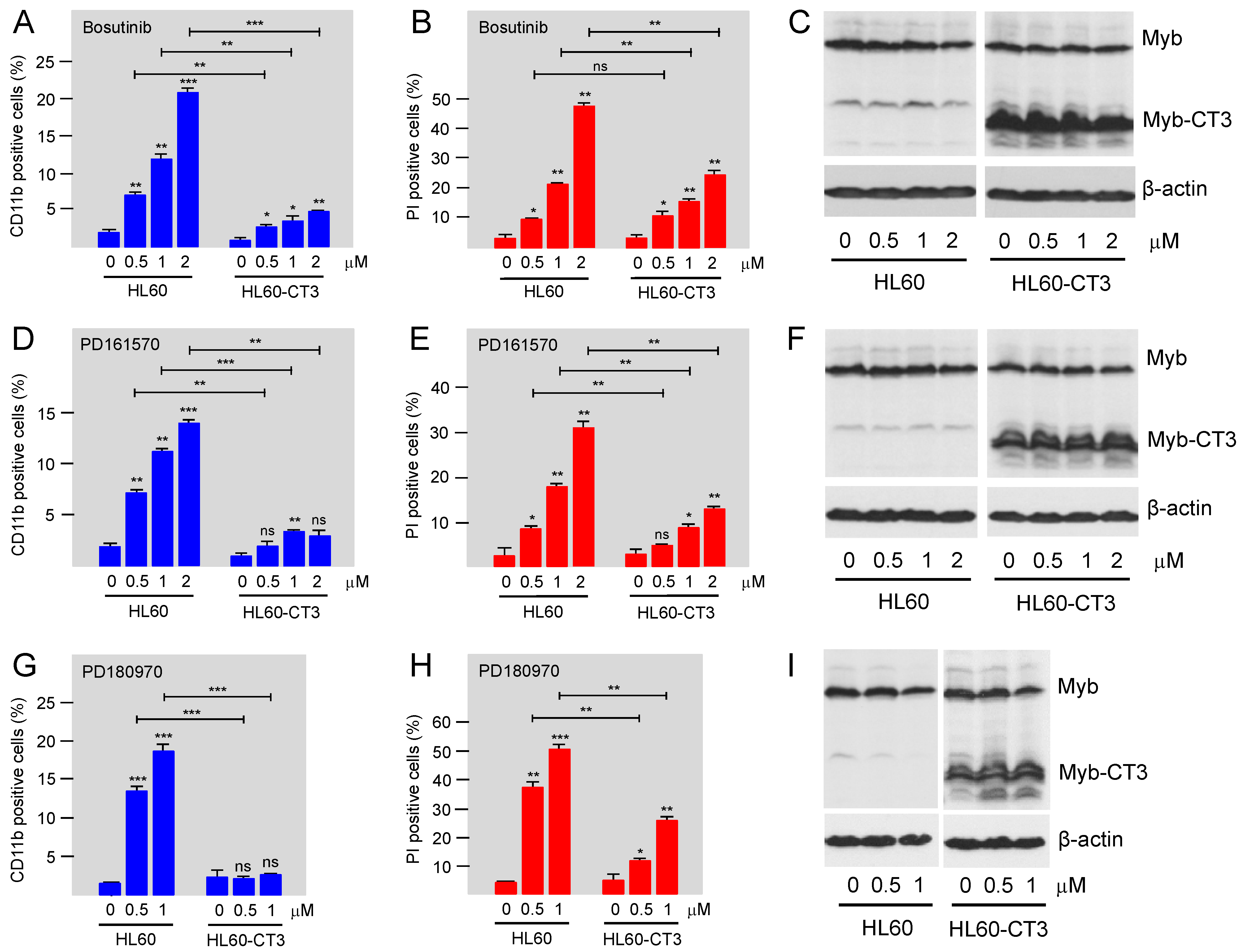 Cells 11 01162 g006 Cells 11 01162 g006