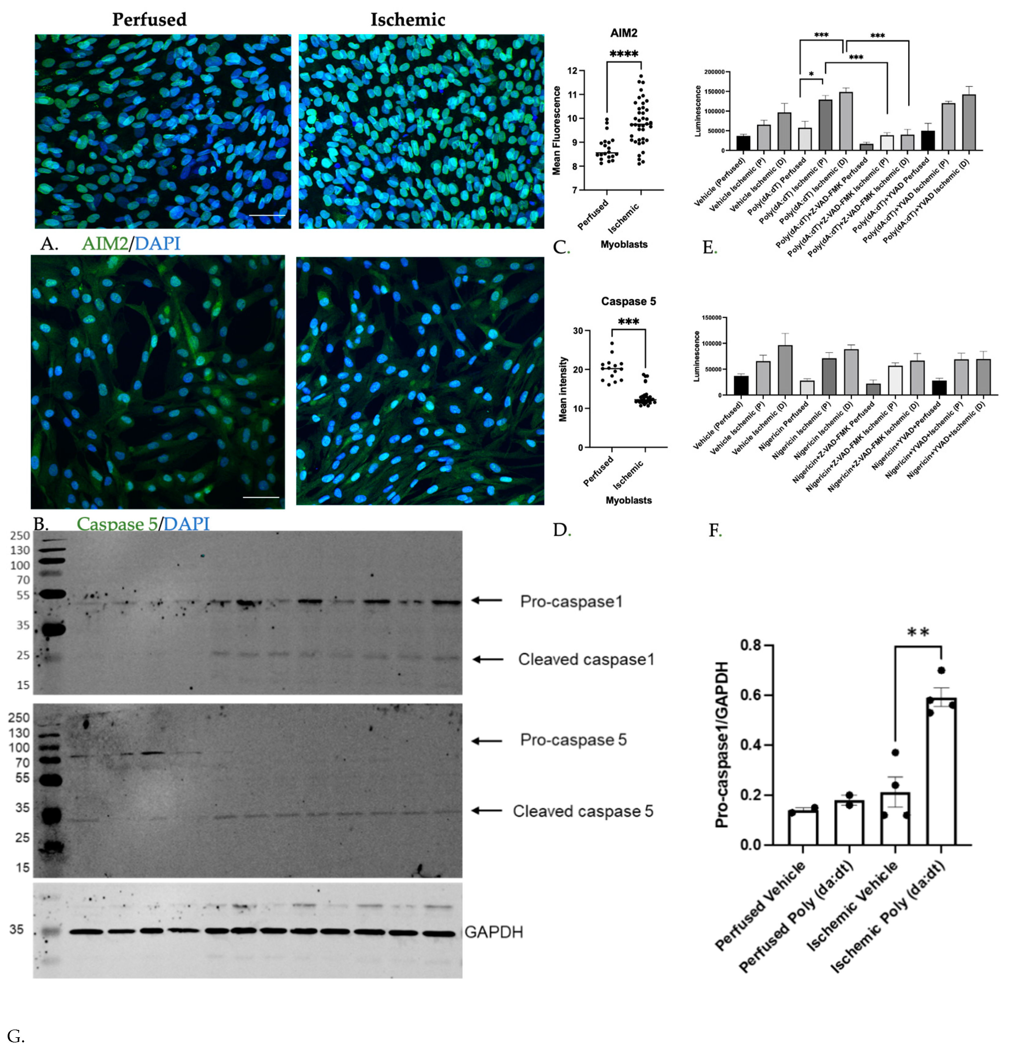 Cells 11 01163 g004 550