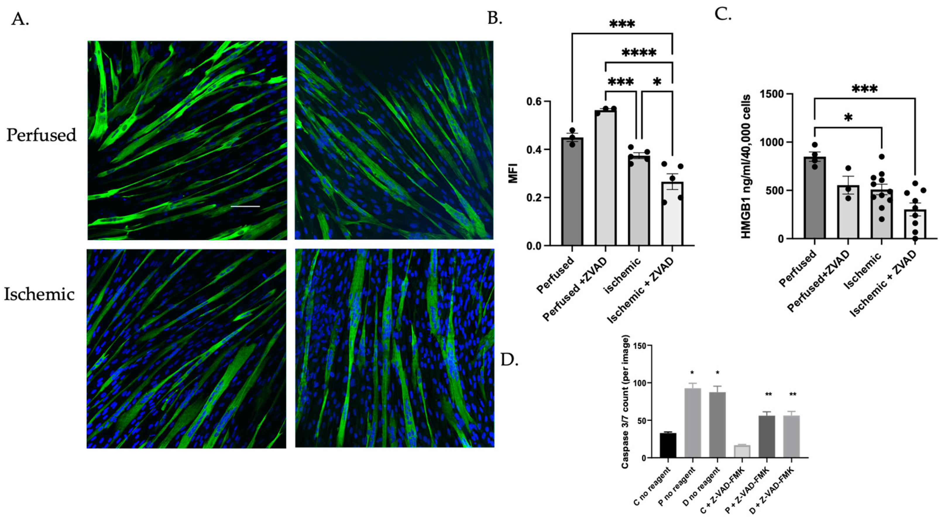 Cells 11 01163 g005 550