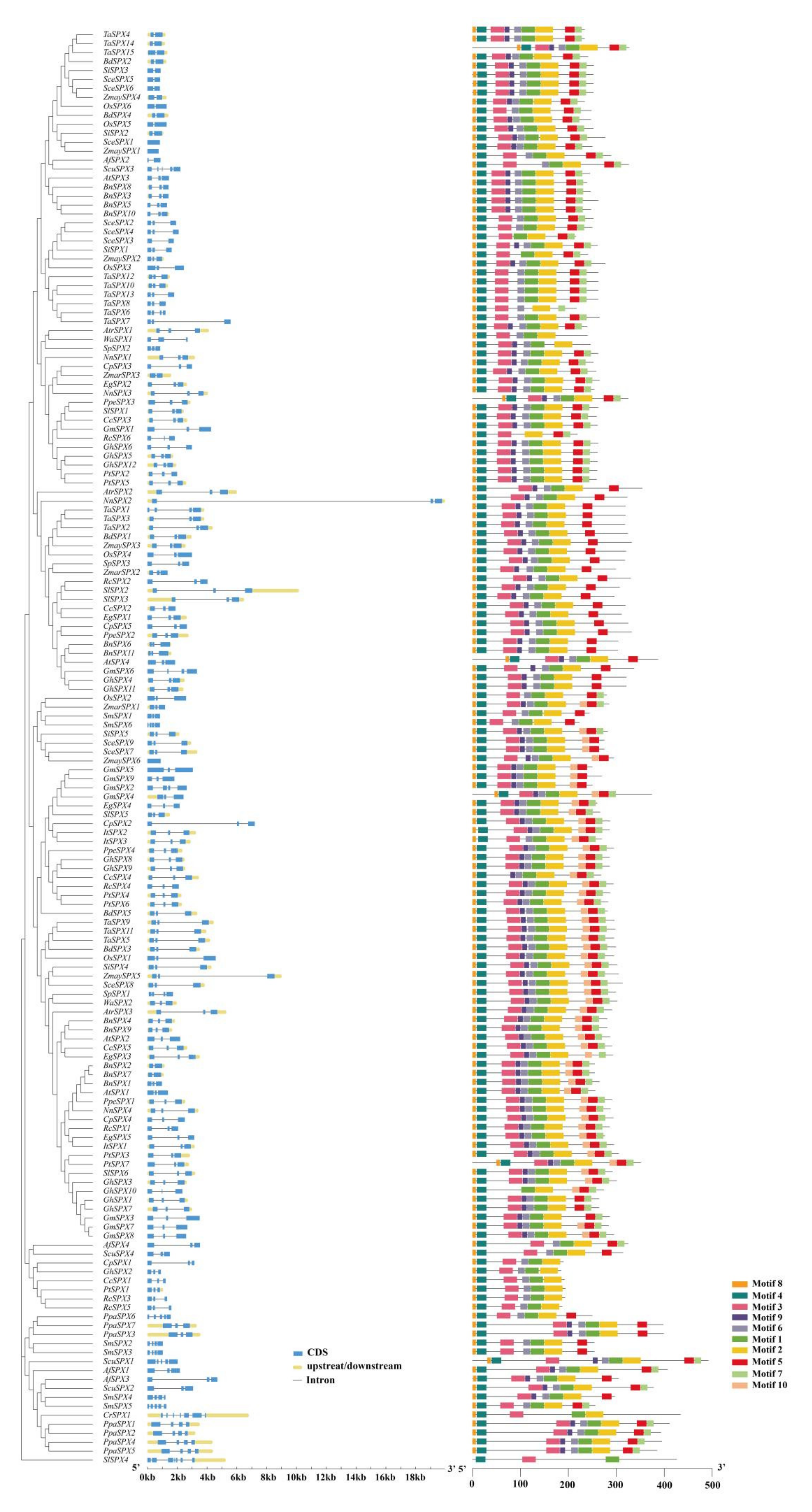 Cells 11 01167 g002 Cells 11 01167 g002