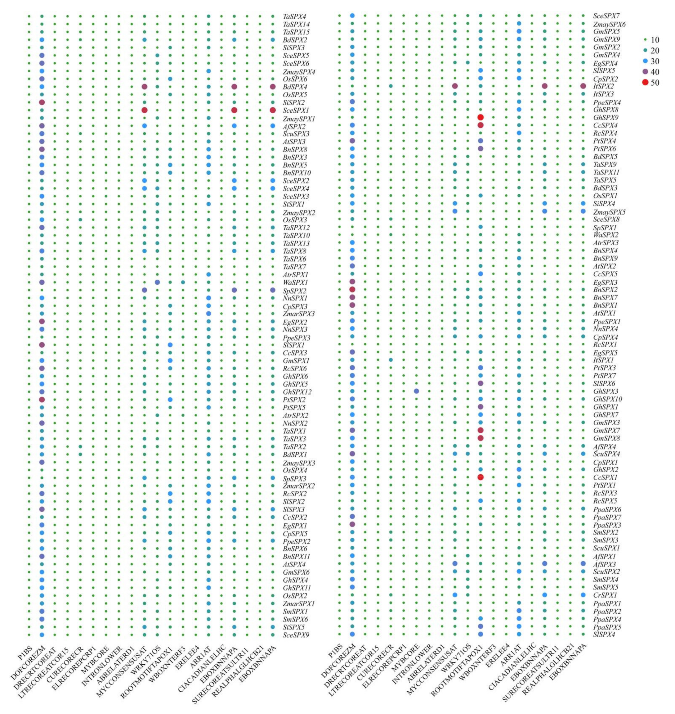 Cells 11 01167 g003 Cells 11 01167 g003