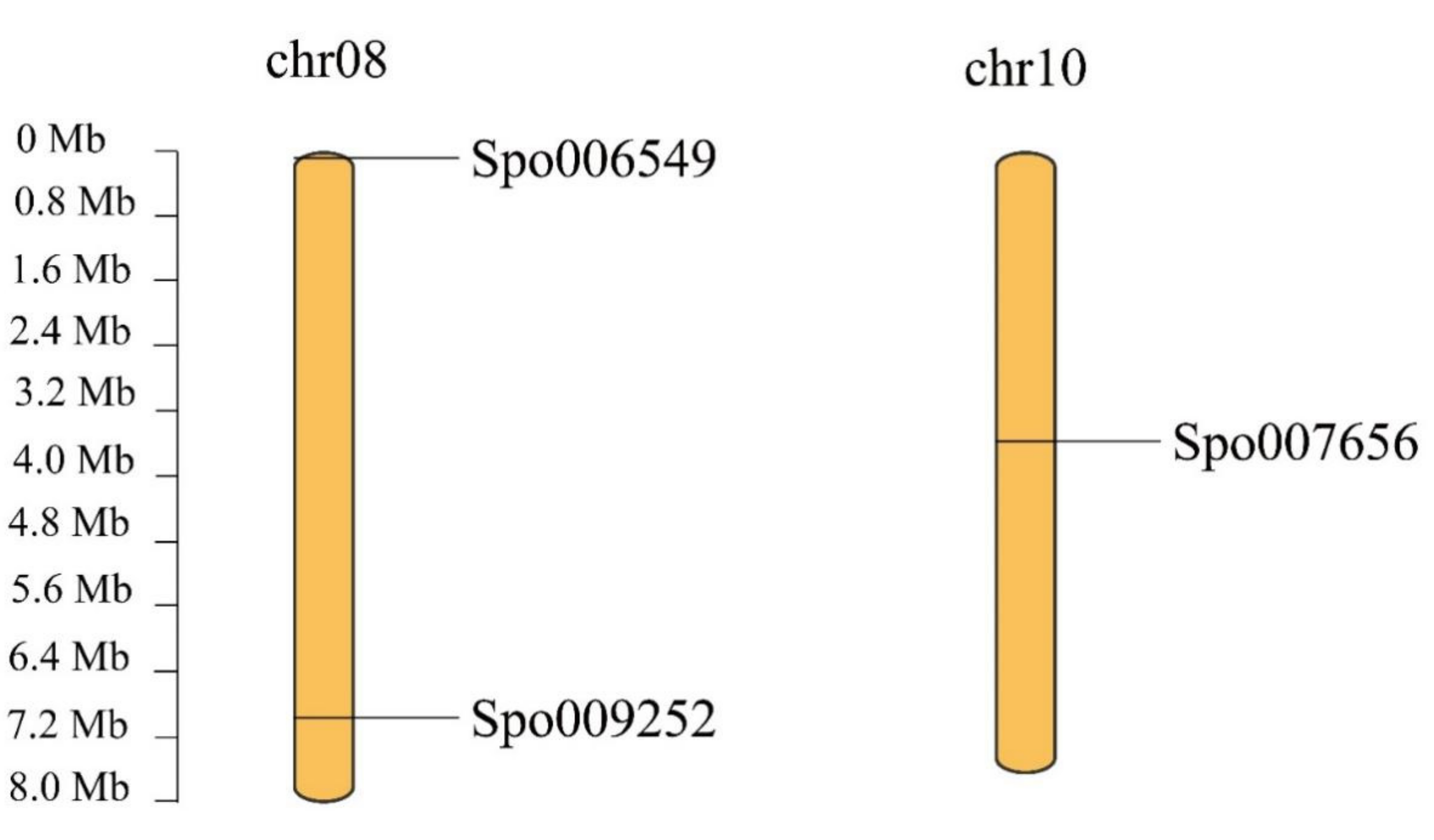 Cells 11 01167 g004 Cells 11 01167 g004