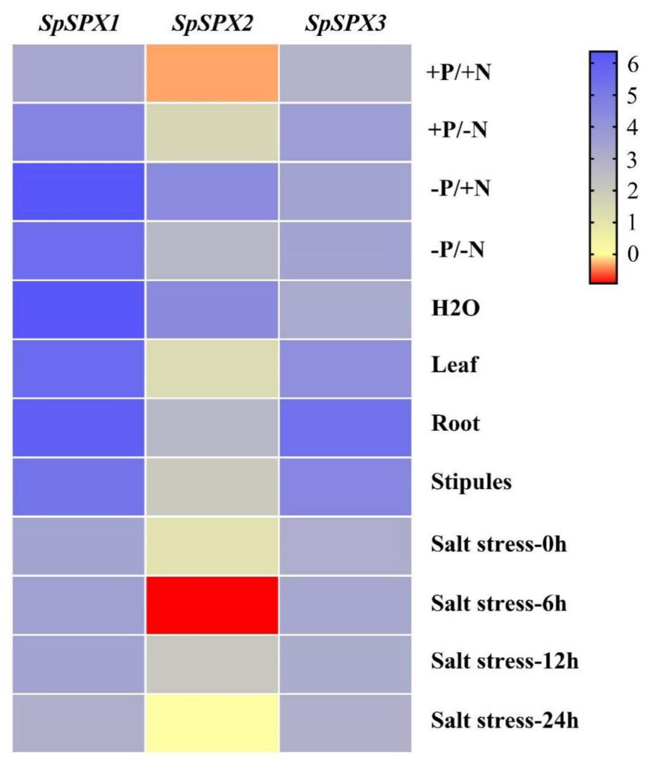 Cells 11 01167 g008 Cells 11 01167 g008