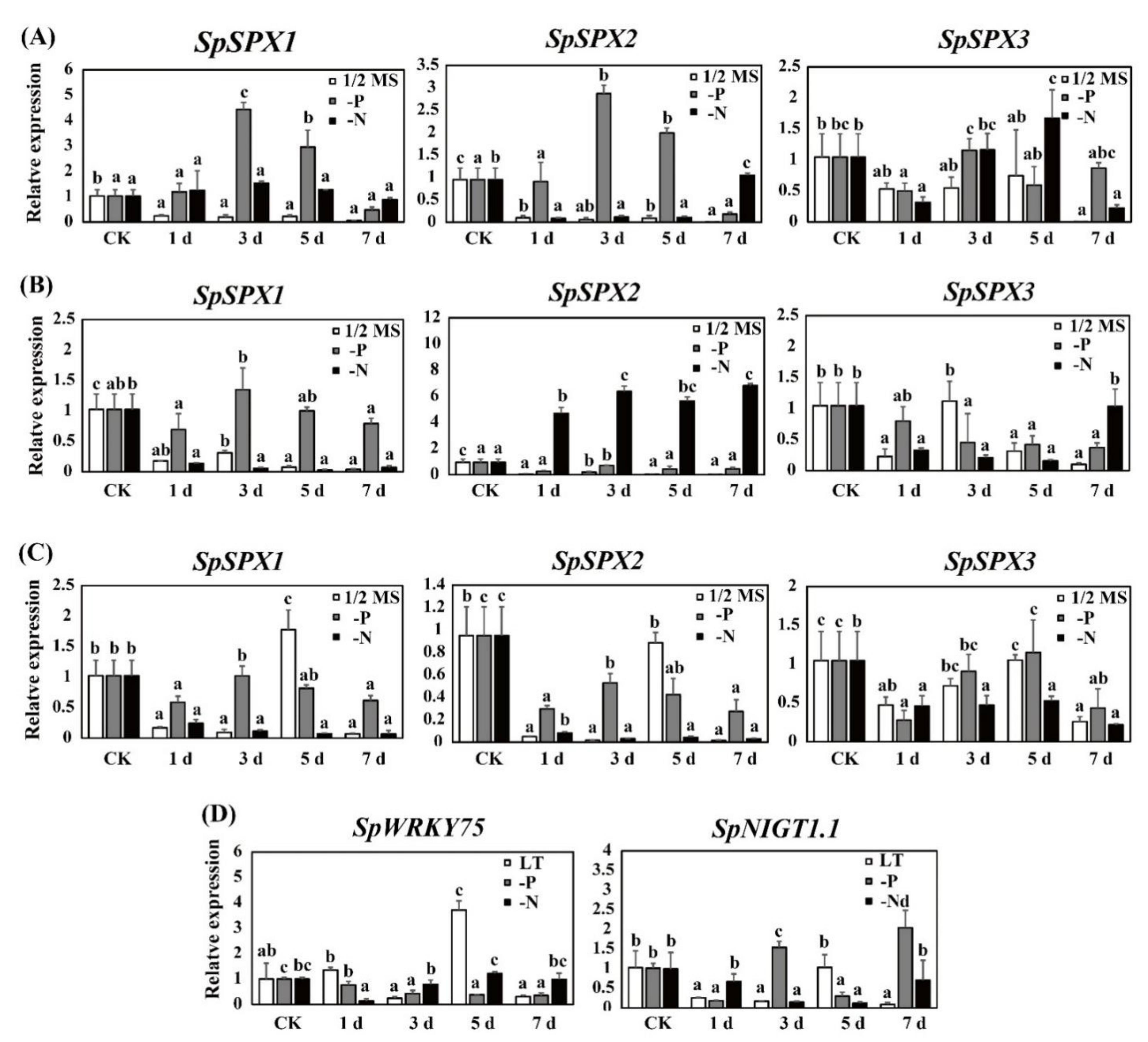 Cells 11 01167 g010 Cells 11 01167 g010