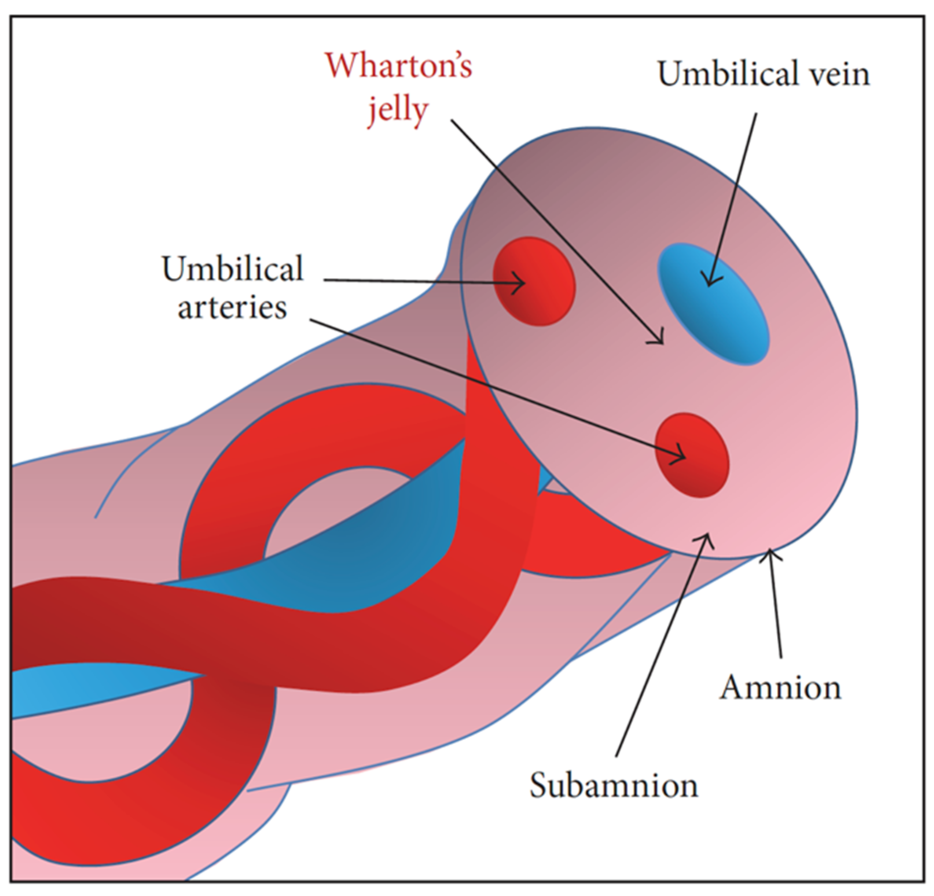 Cells 11 01168 g006 550