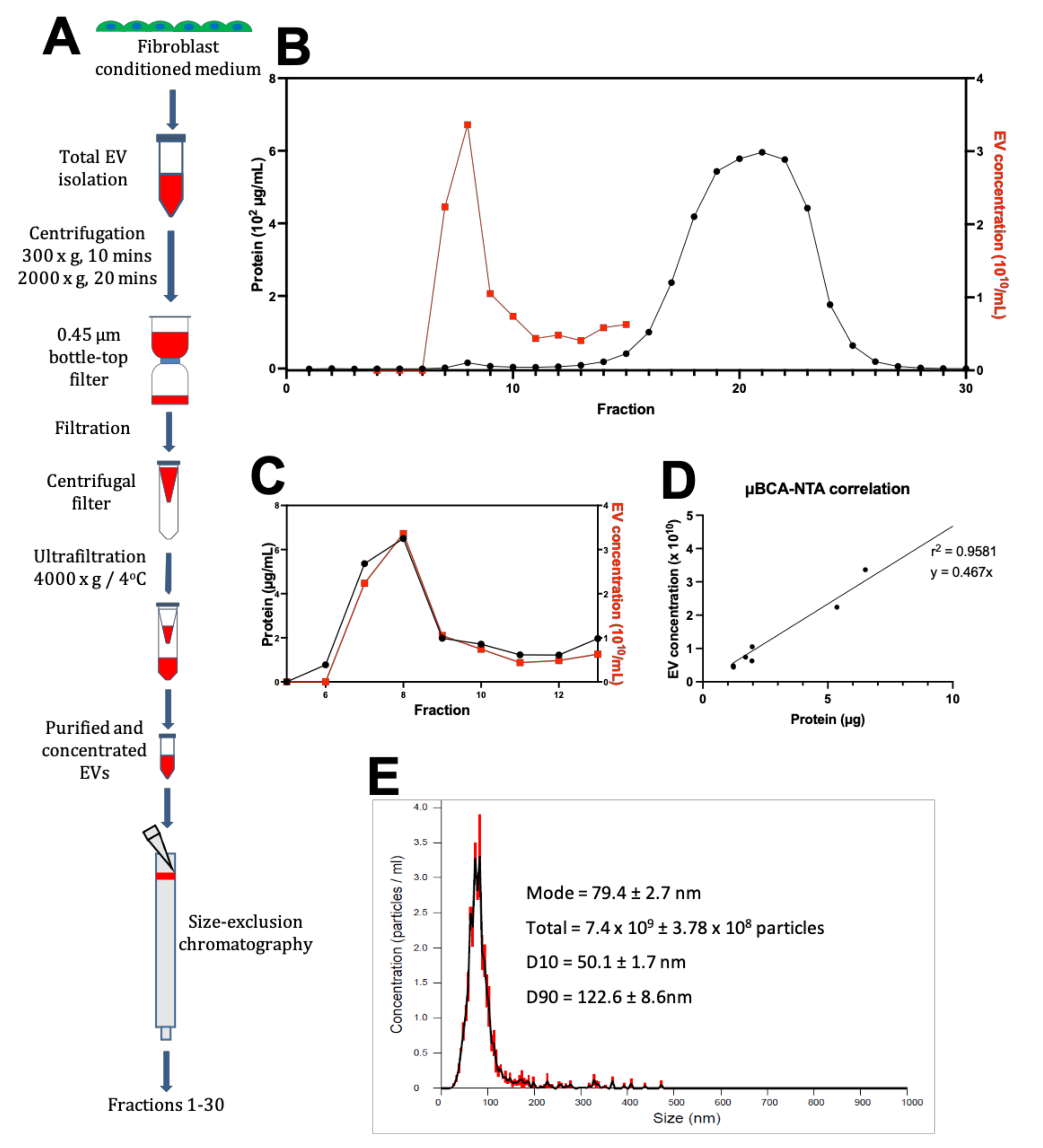 Cells 11 01171 g001 550