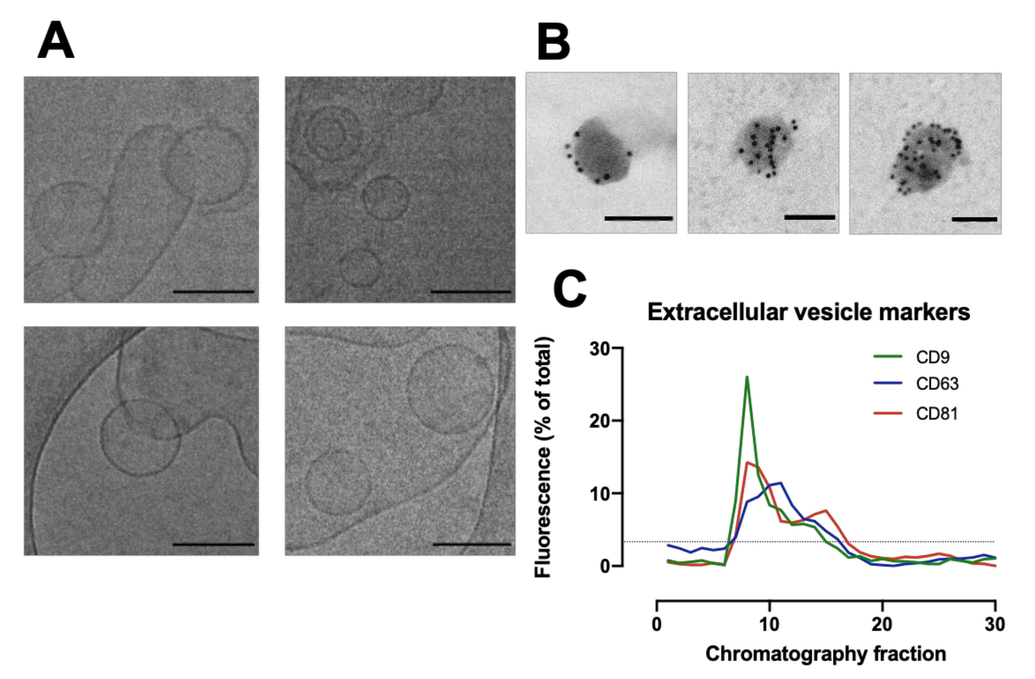 Cells 11 01171 g002 550