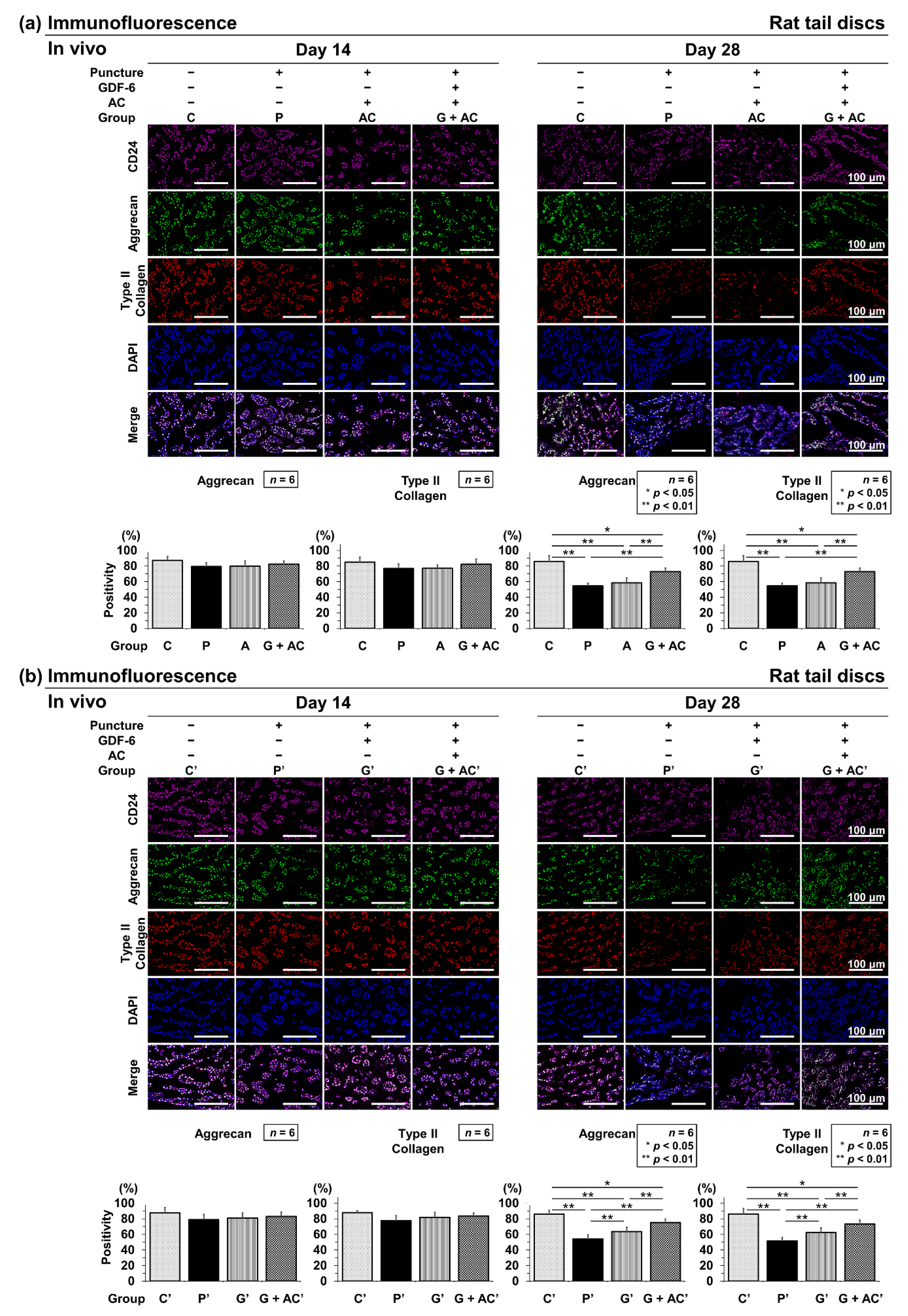 Cells 11 01174 g007 Cells 11 01174 g007