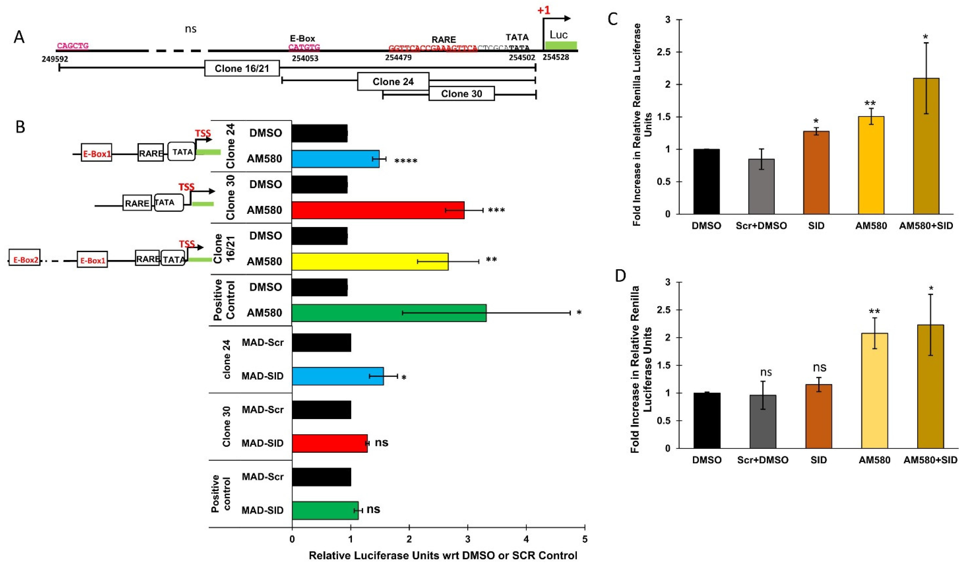 Cells 11 01179 g004 Cells 11 01179 g004