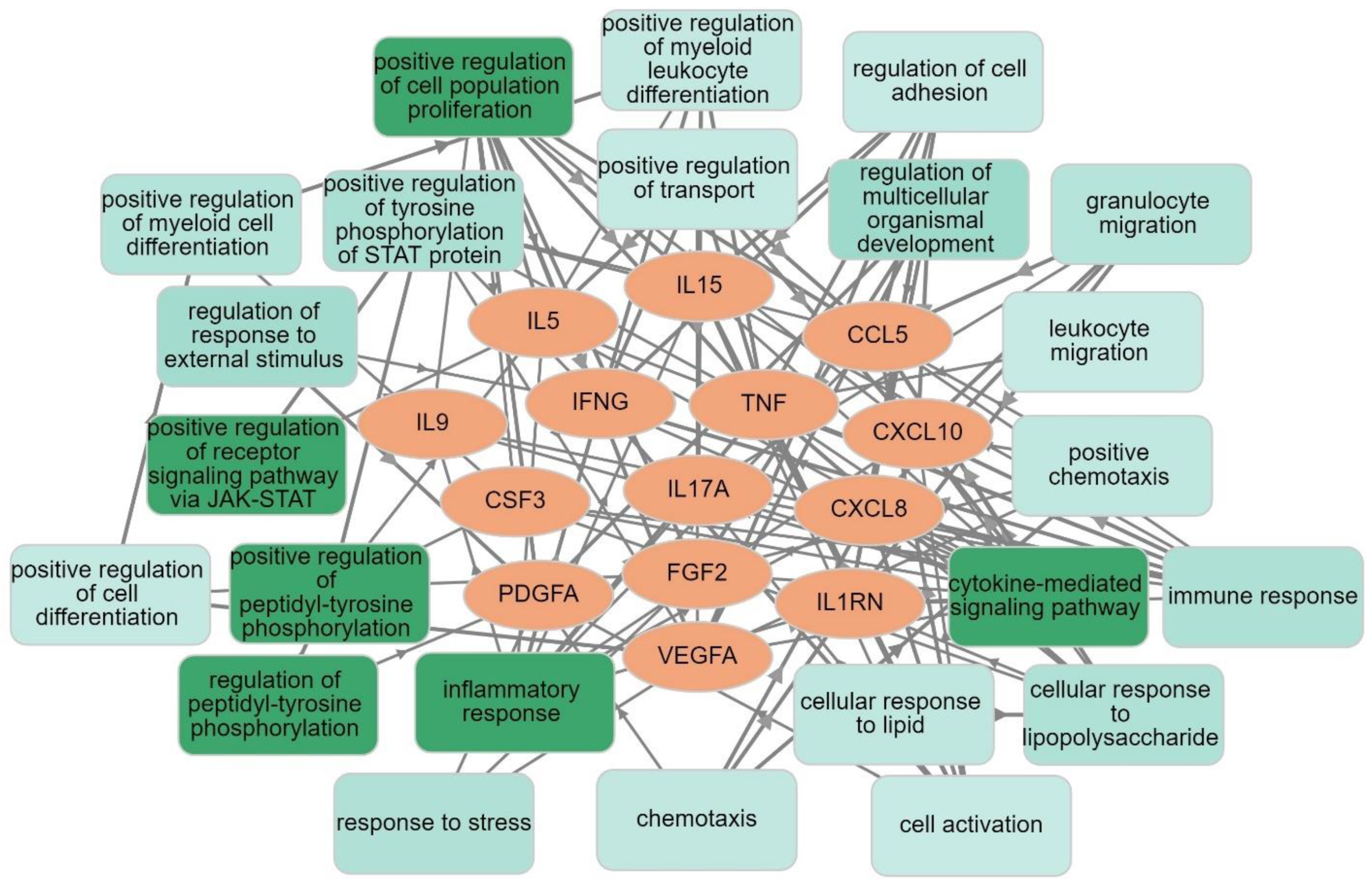 Cells 11 01183 g007 550