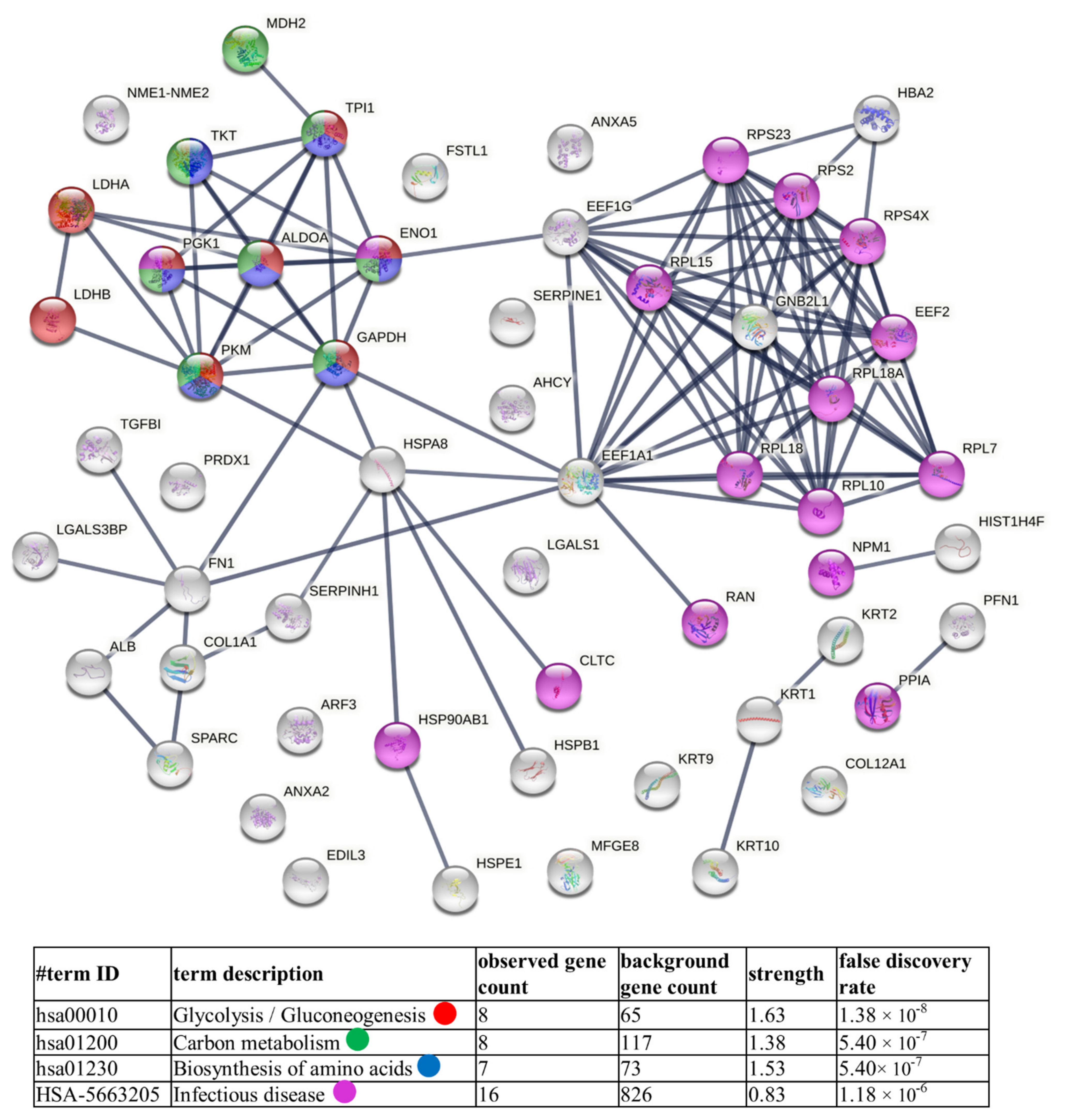 Cells 11 01184 g007 550