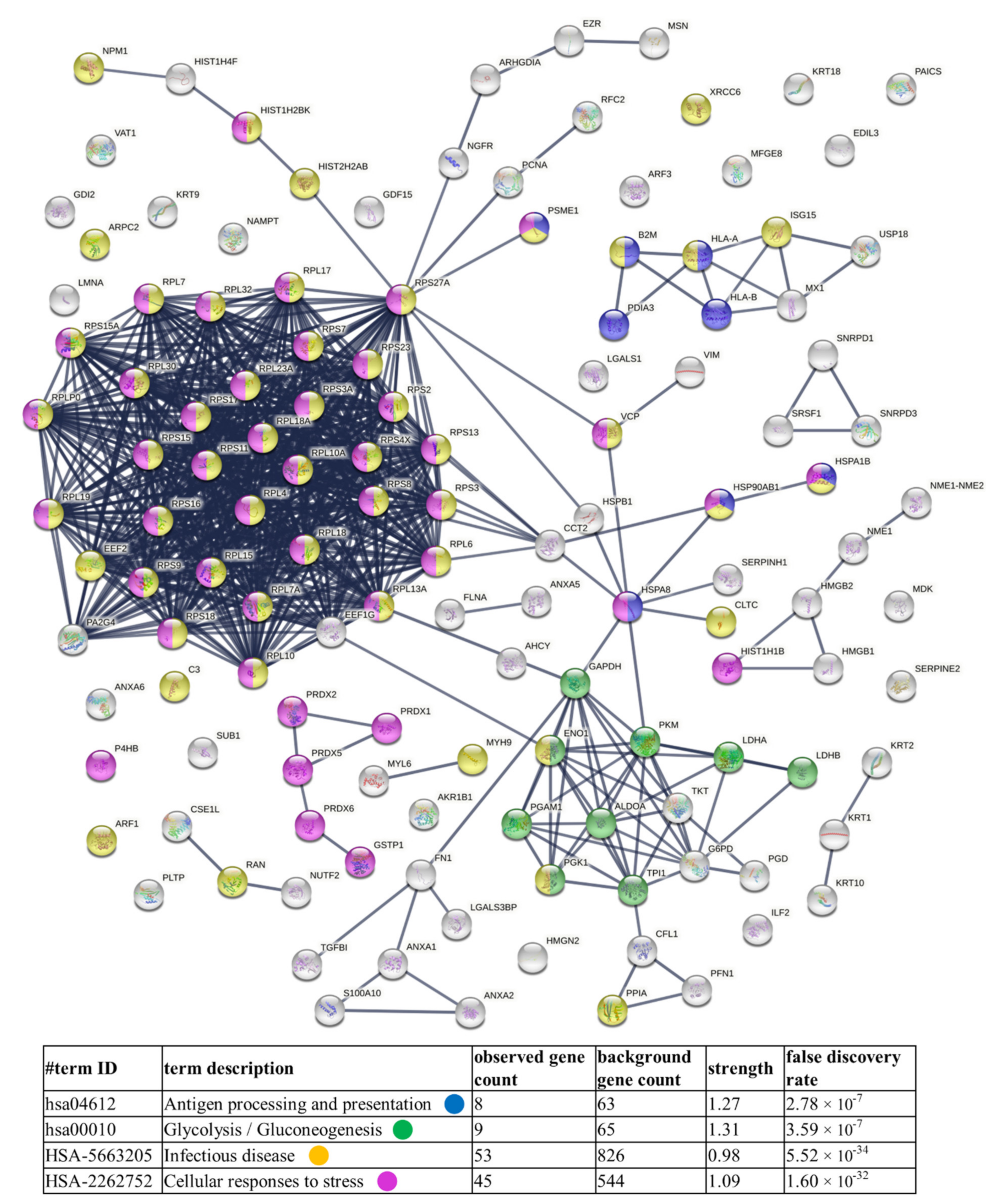 Cells 11 01184 g008 550