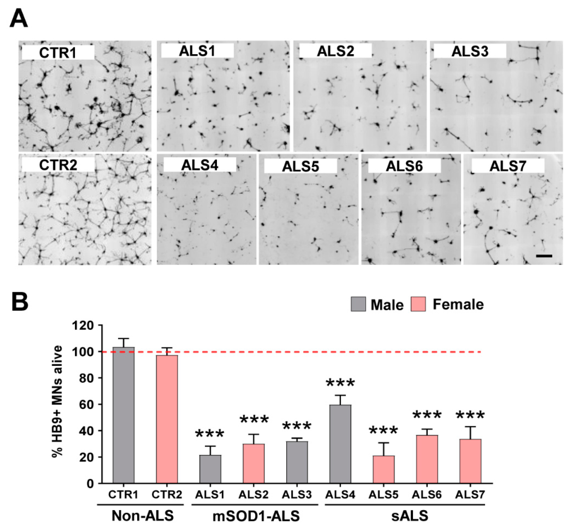Cells 11 01186 g001 550
