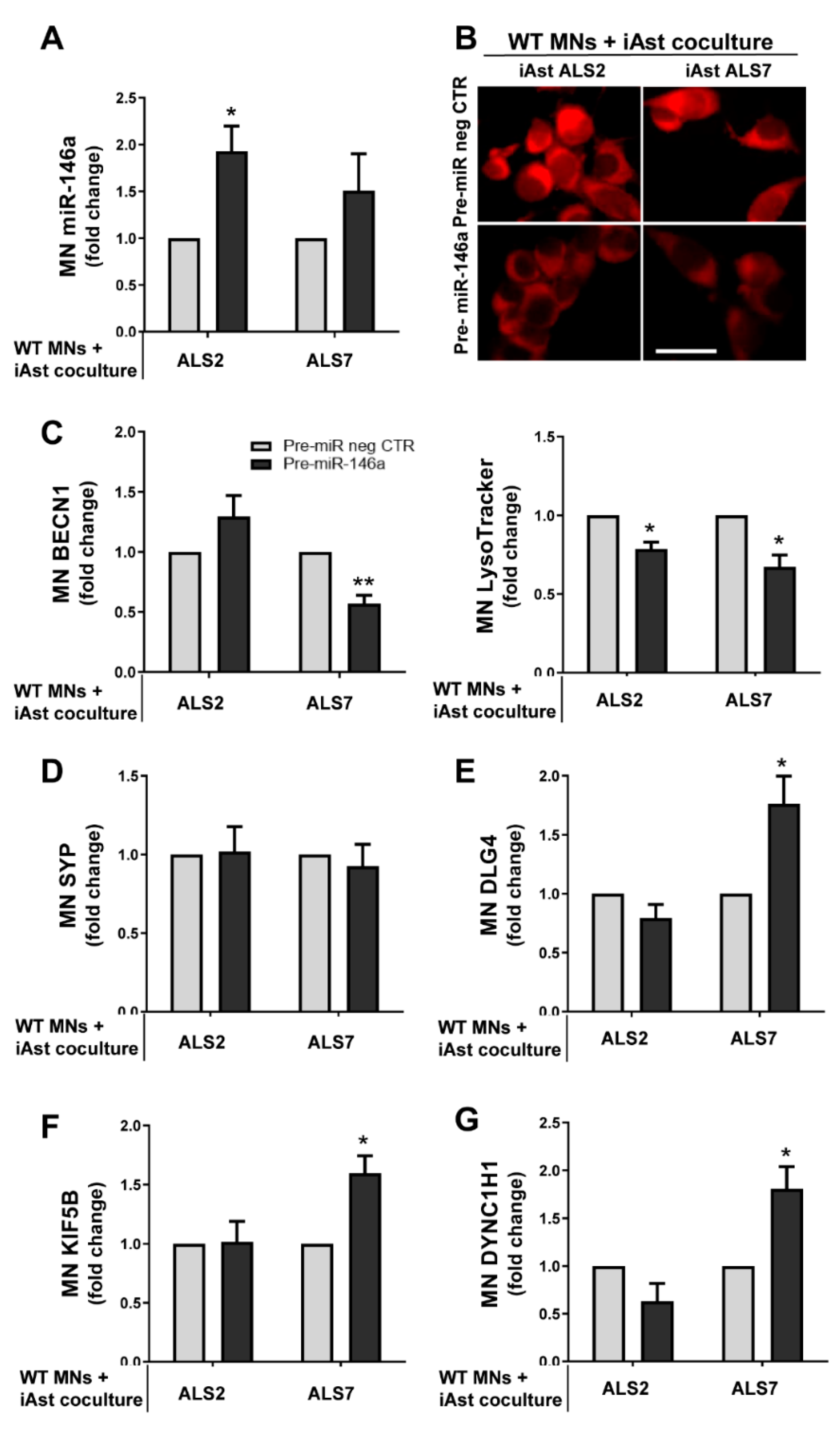 Cells 11 01186 g008 550