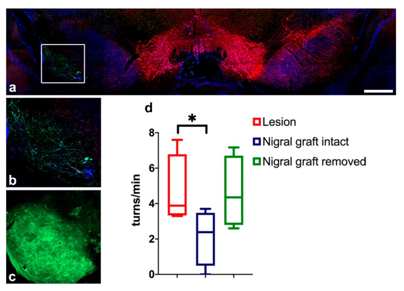 Cells 11 01191 g011 Cells 11 01191 g011