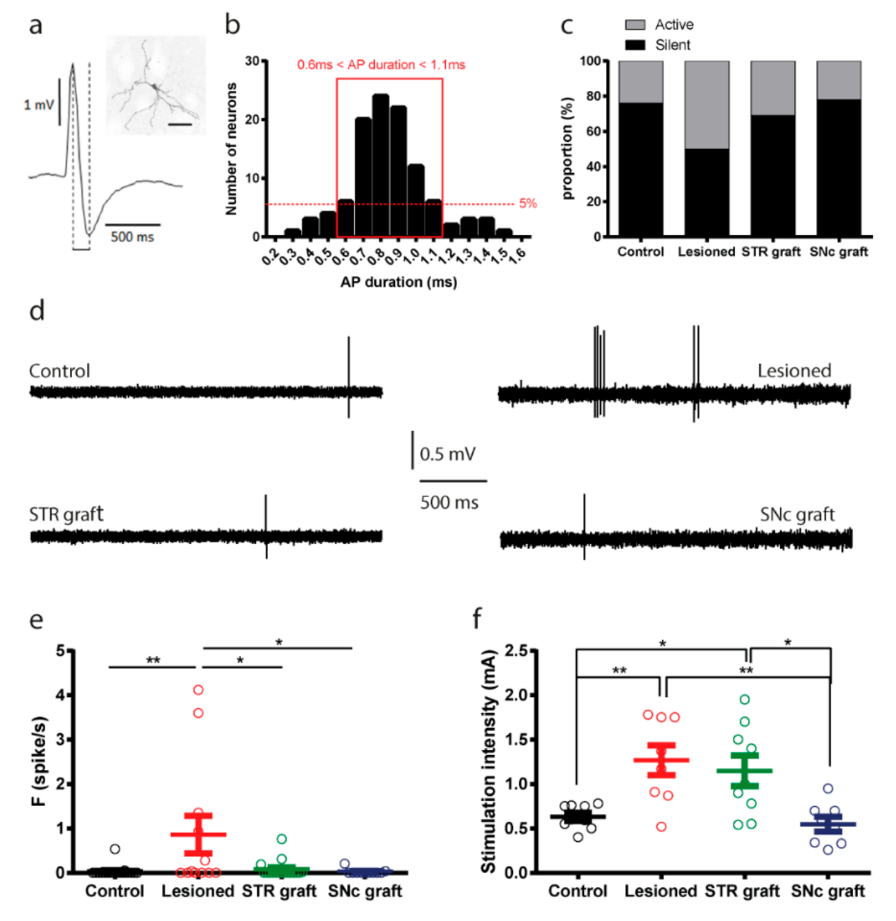 Cells 11 01191 g012 Cells 11 01191 g012