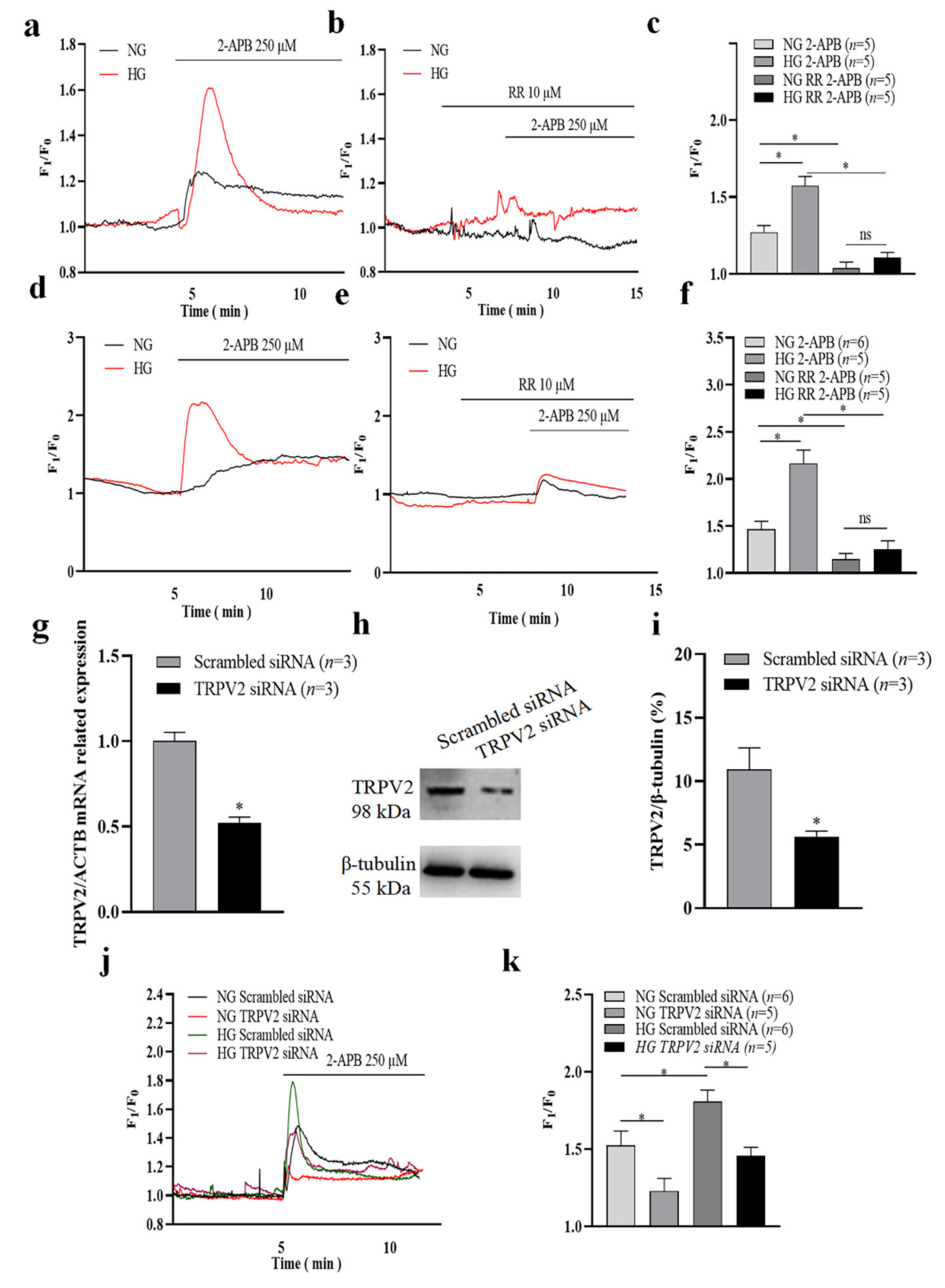 Cells 11 01196 g002 550
