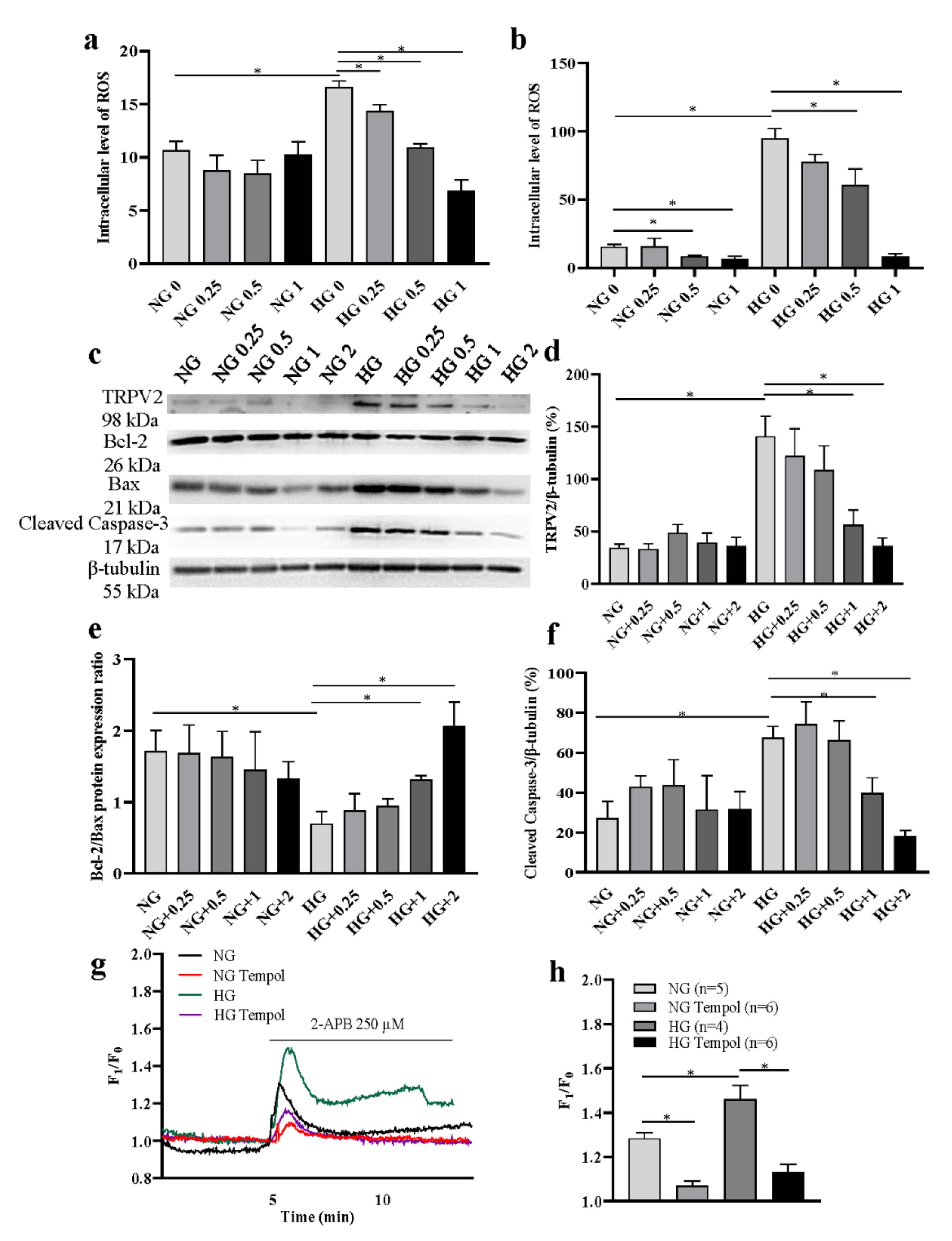 Cells 11 01196 g005 550