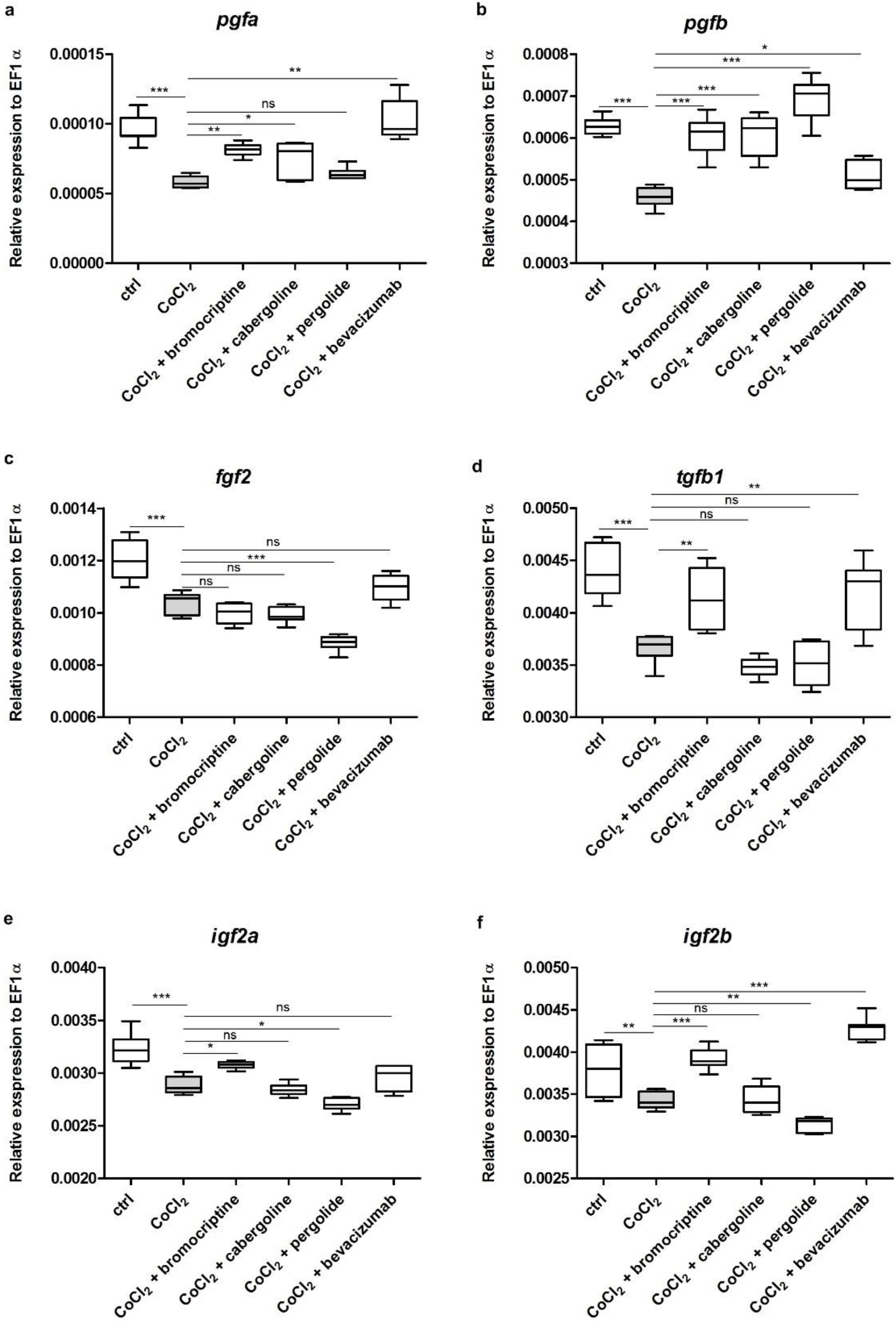 Cells 11 01202 g004 550