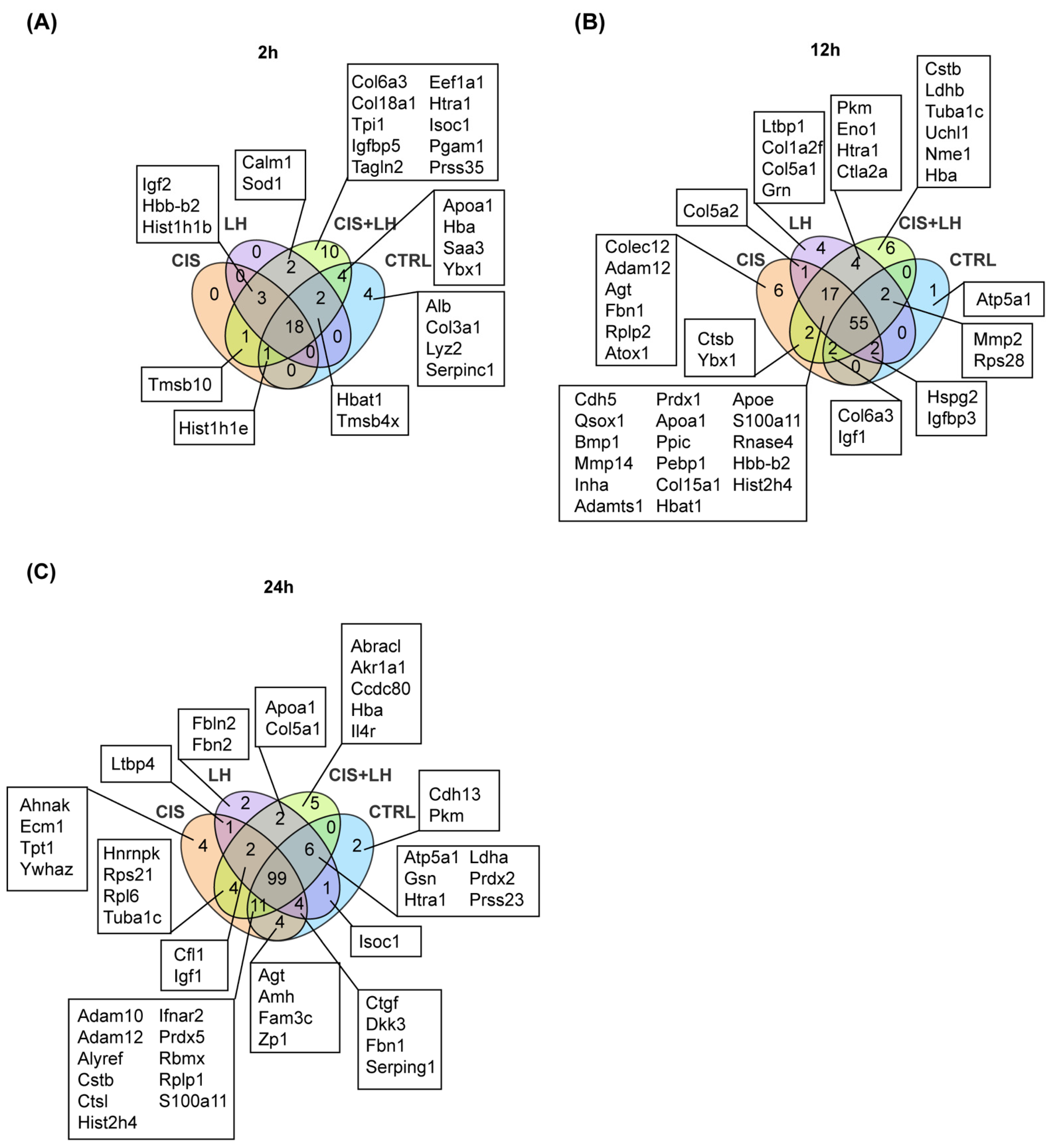 Cells 11 01208 g005 550