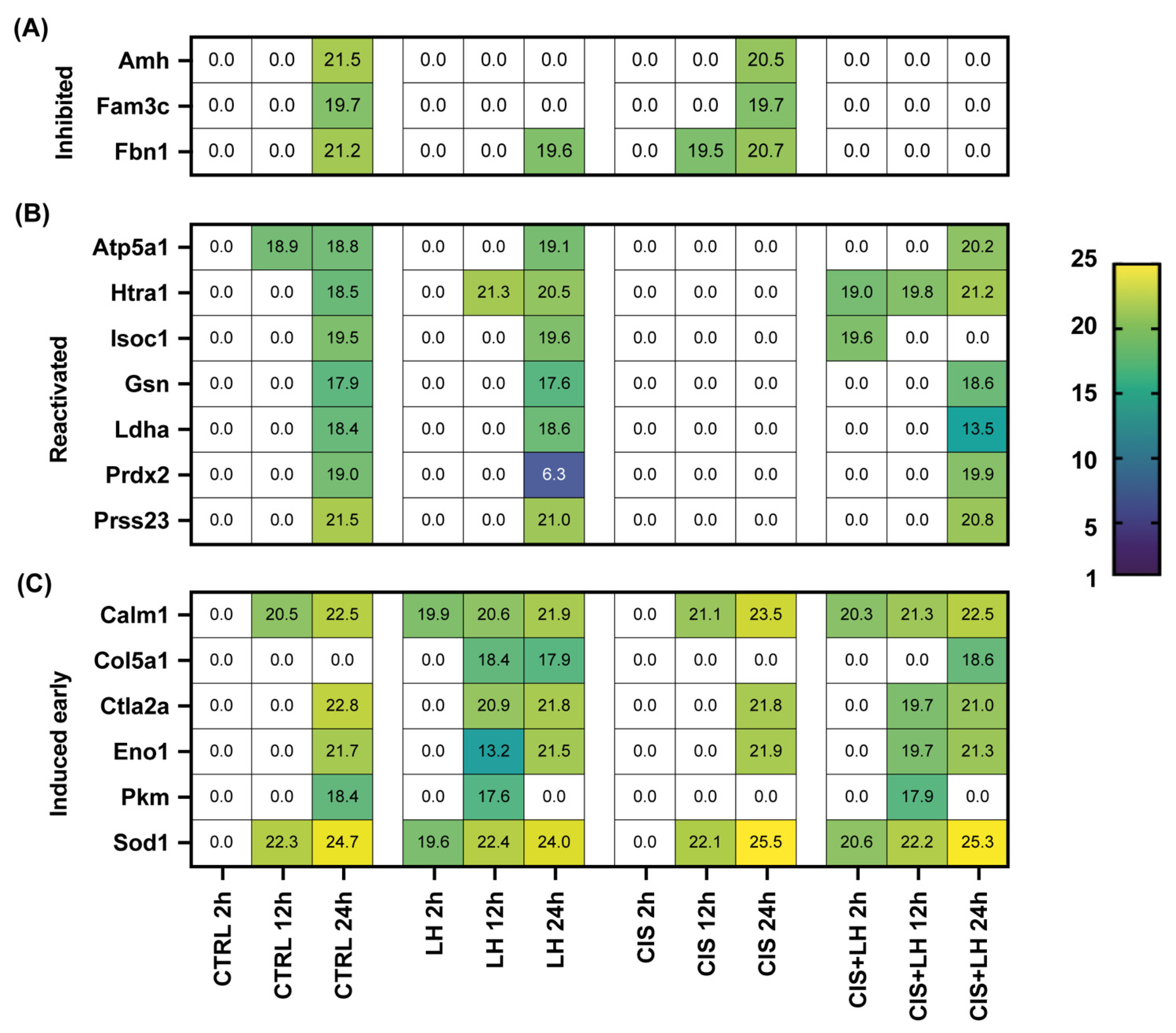 Cells 11 01208 g007 550