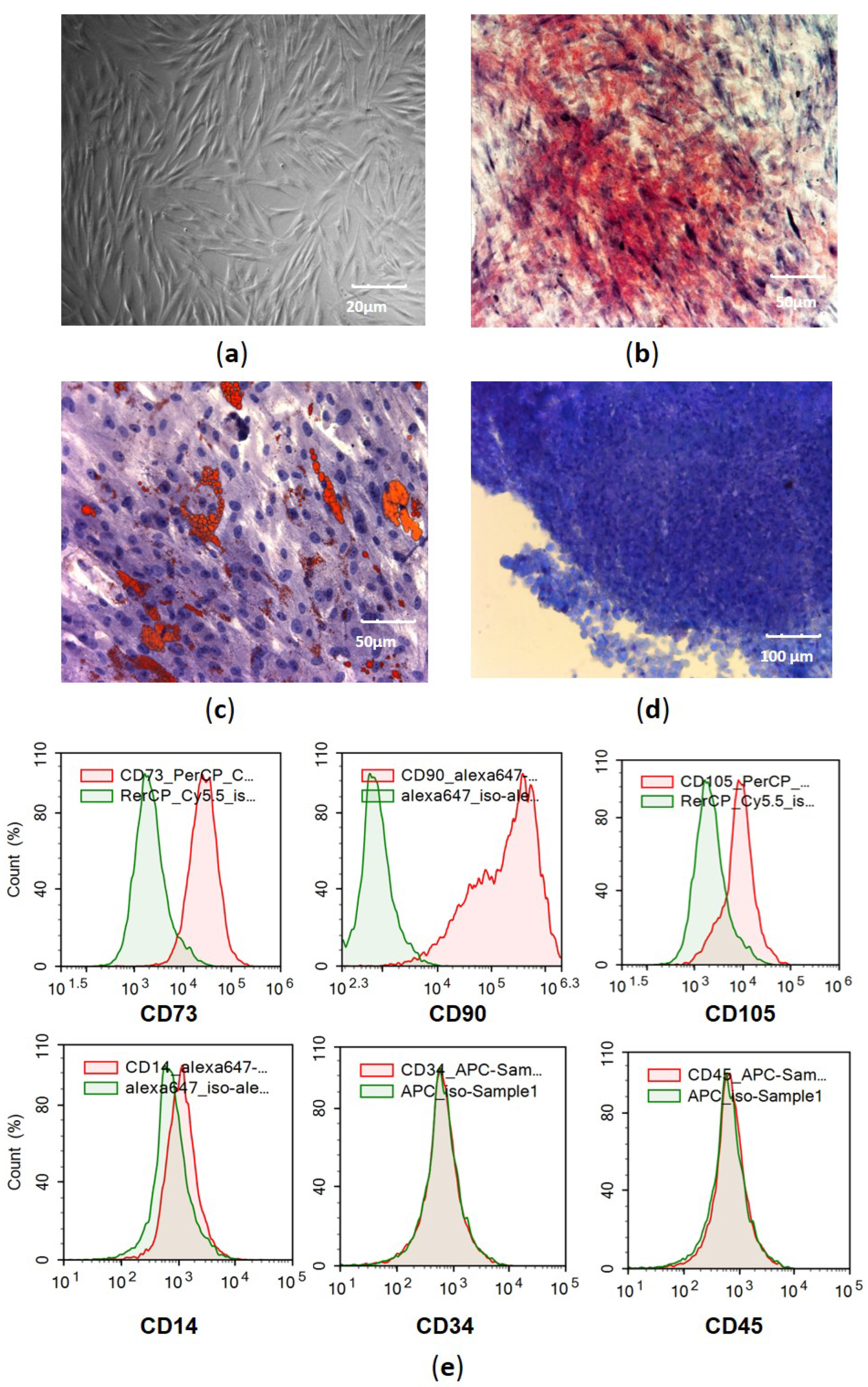 Cells 11 01210 g001