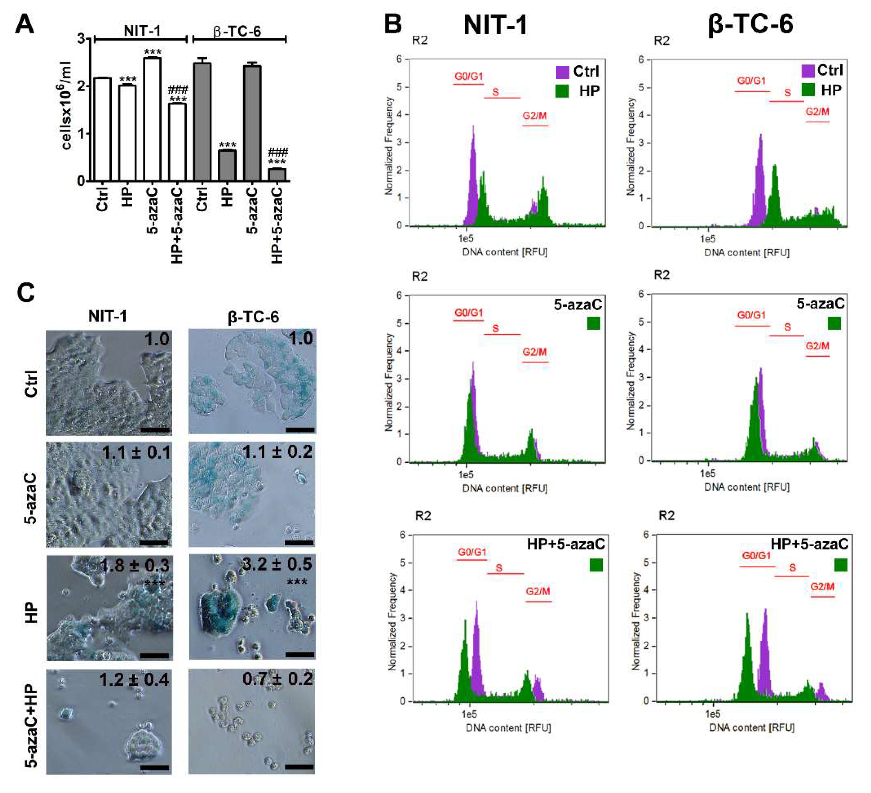 Cells 11 01213 g001 550
