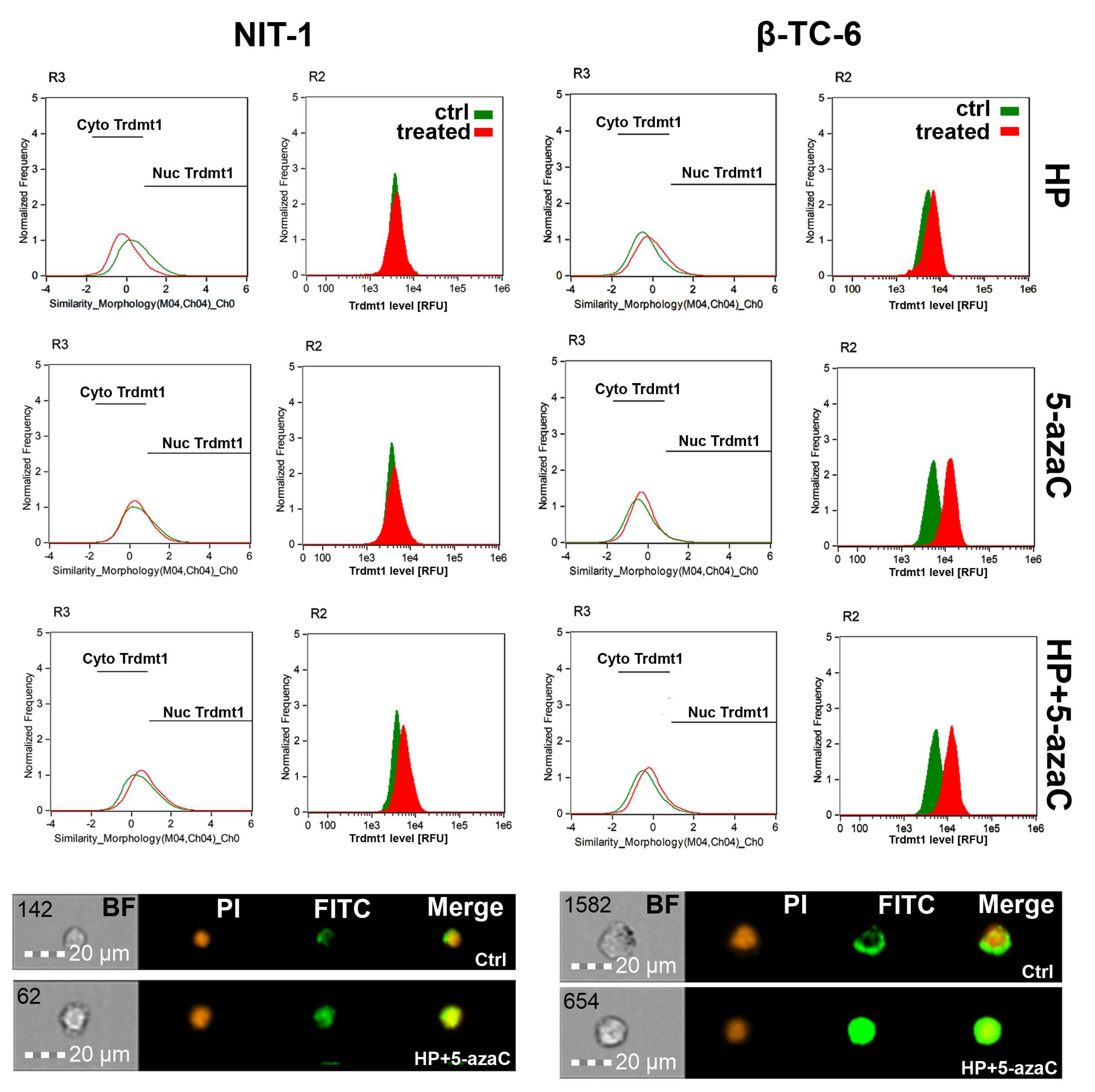 Cells 11 01213 g004 550