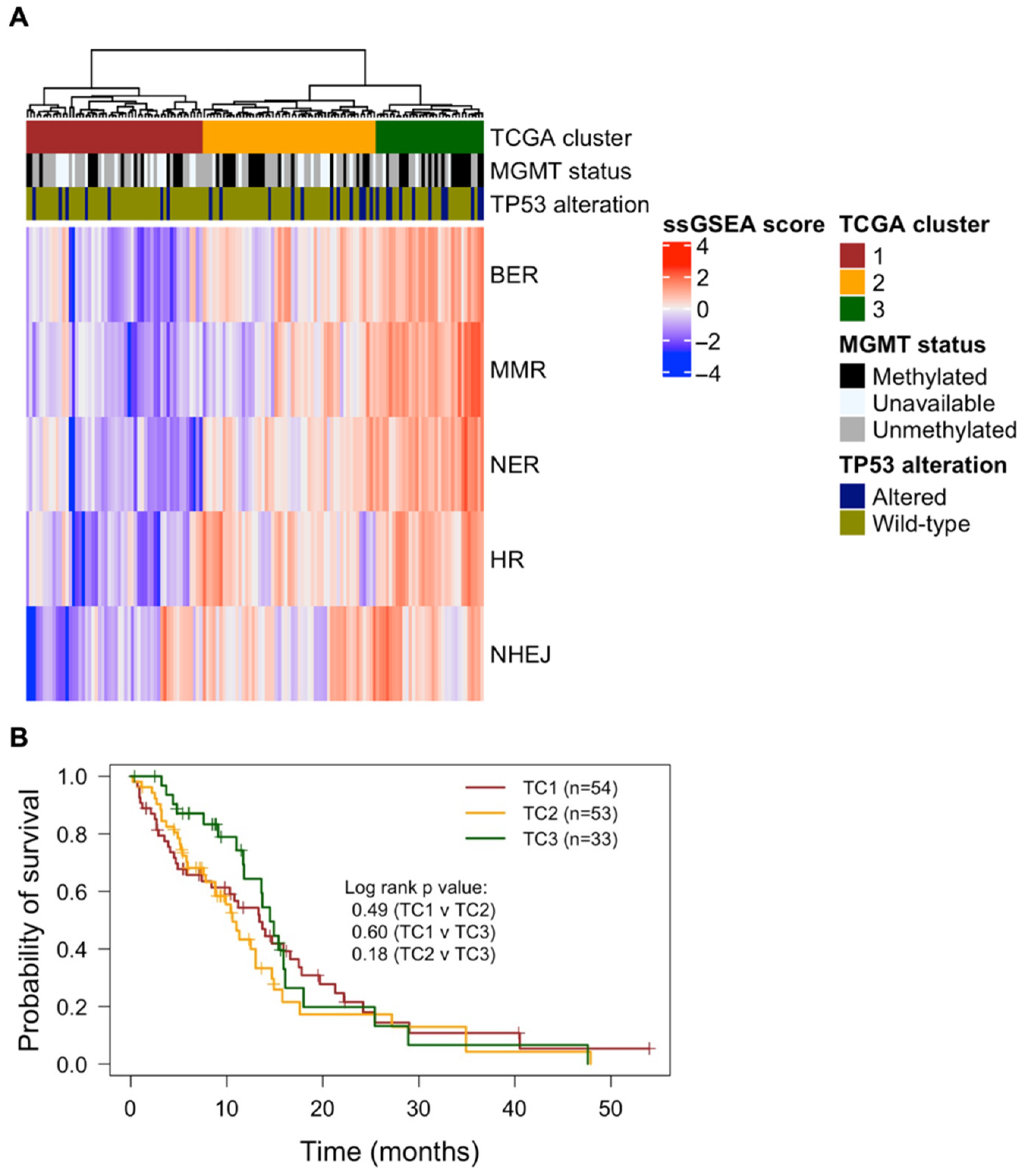 Cells 11 01215 g001 550