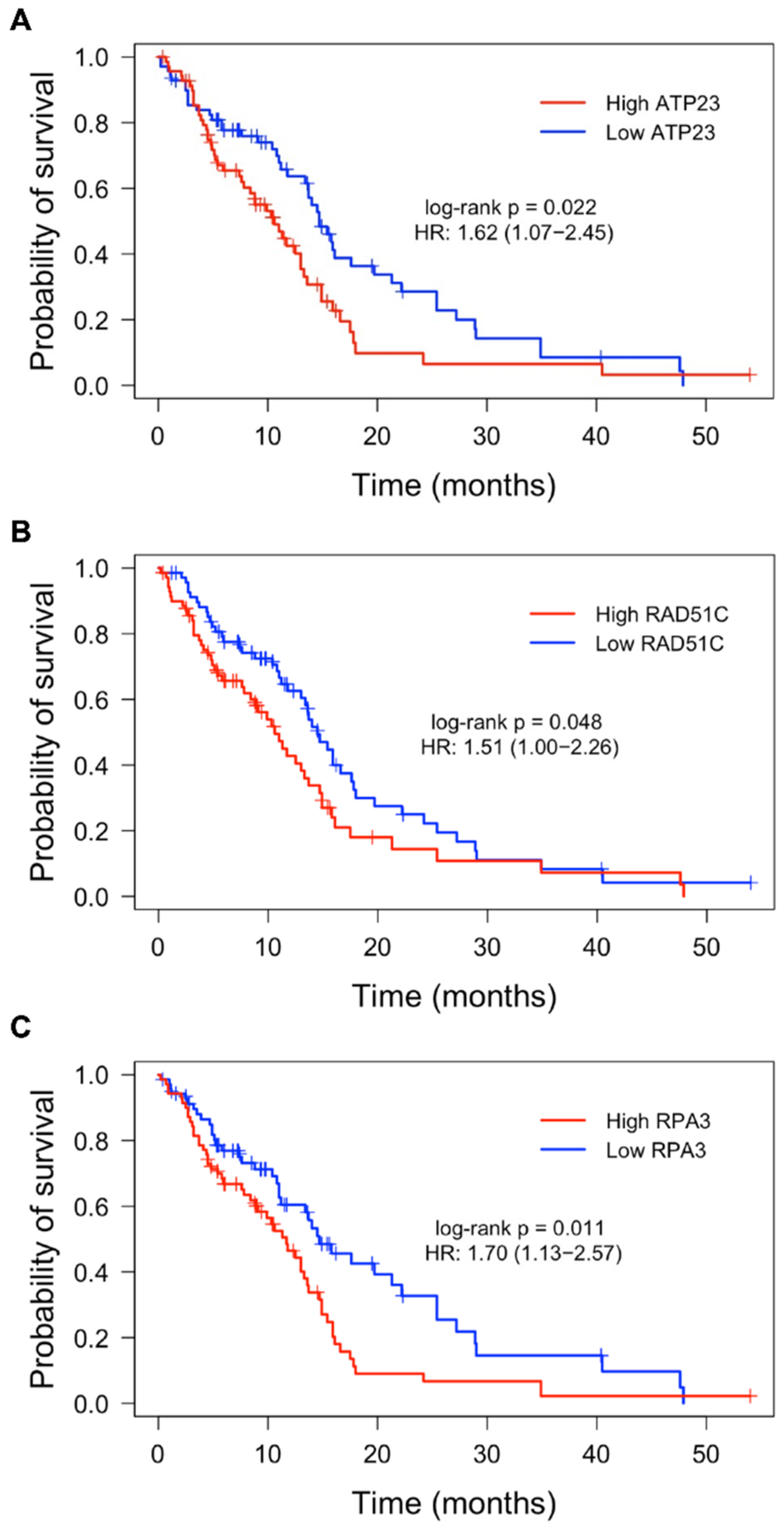 Cells 11 01215 g002 550