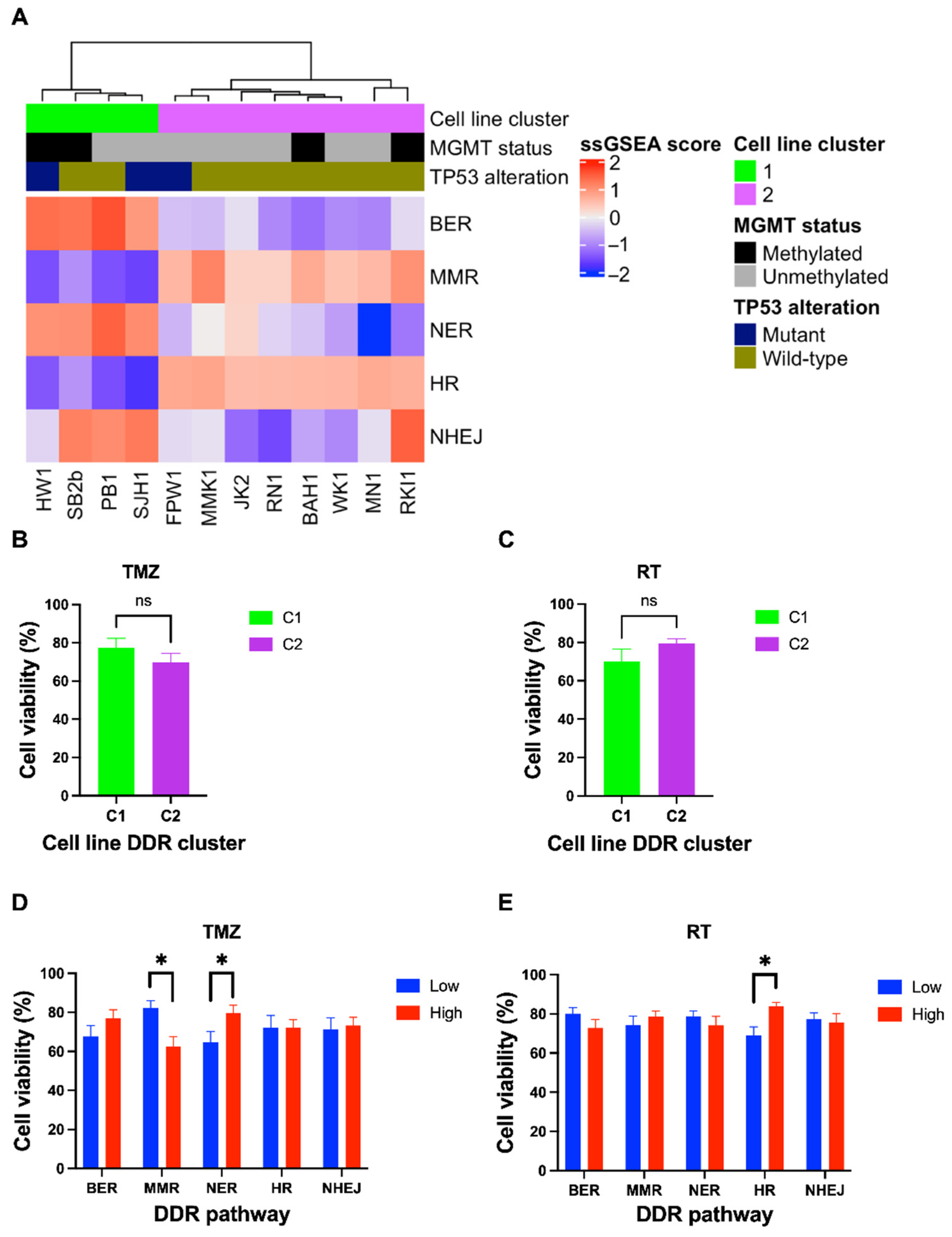 Cells 11 01215 g003 550