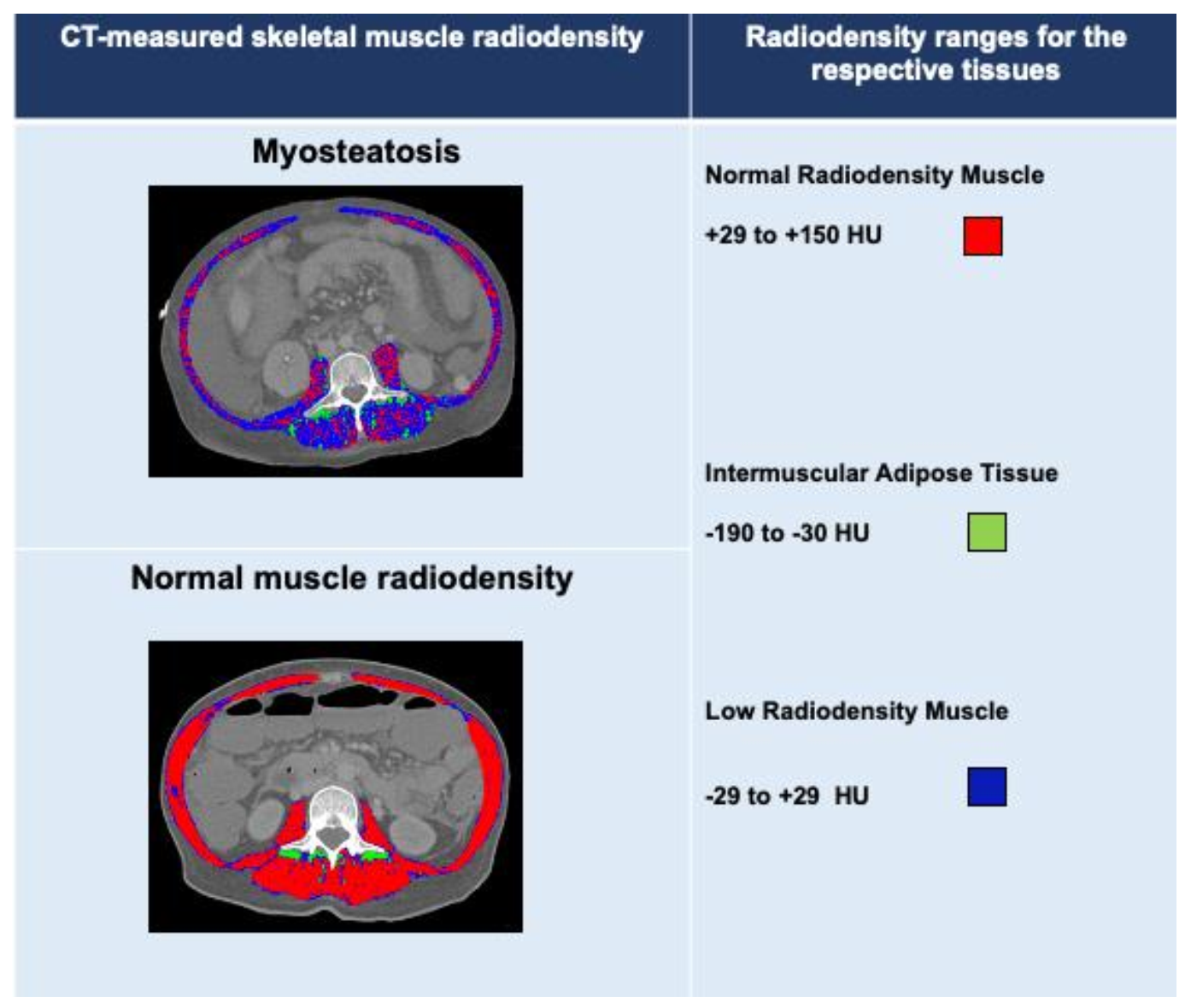 Cells 11 01216 g002 Cells 11 01216 g002