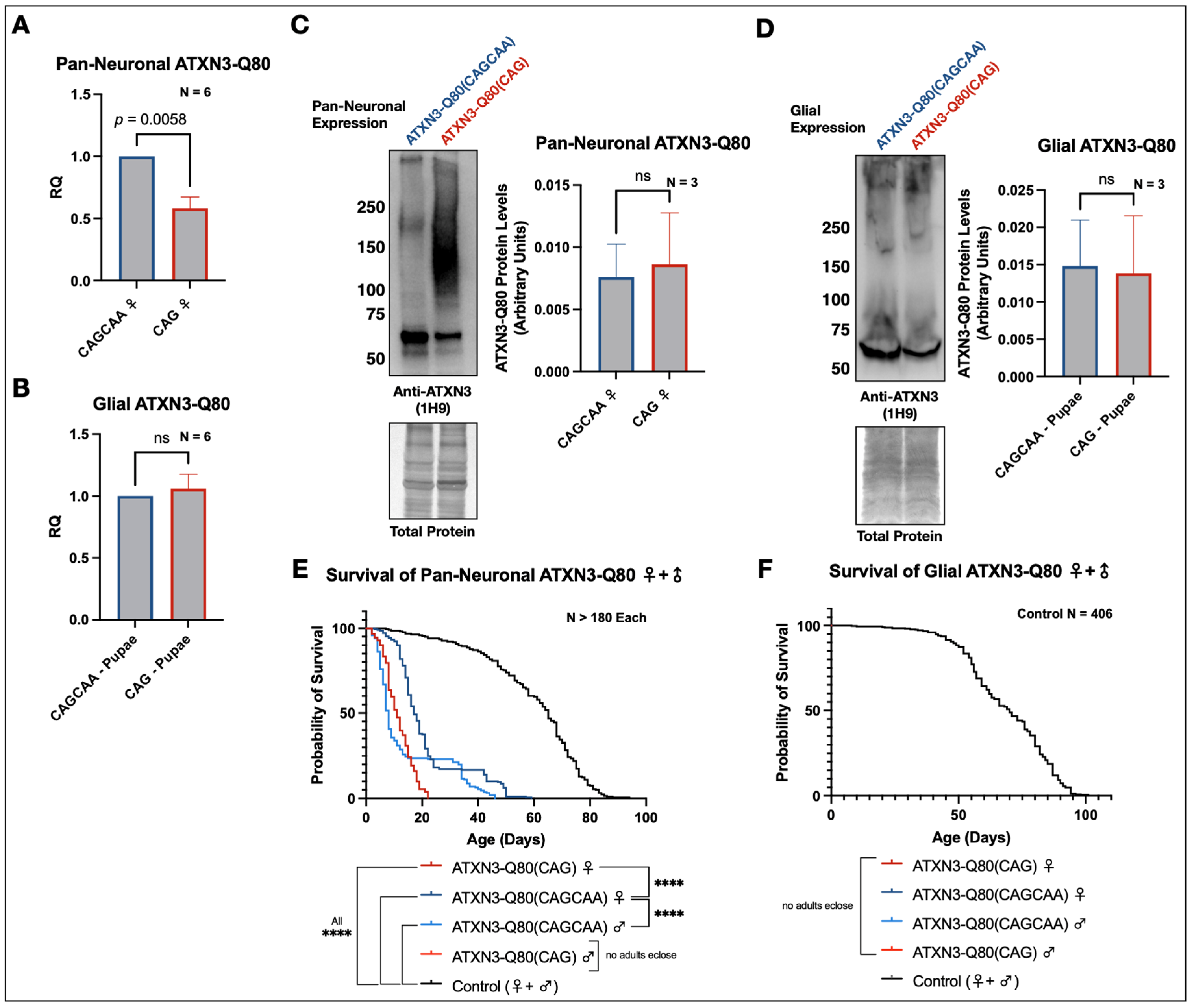 Cells 11 01223 g002 Cells 11 01223 g002