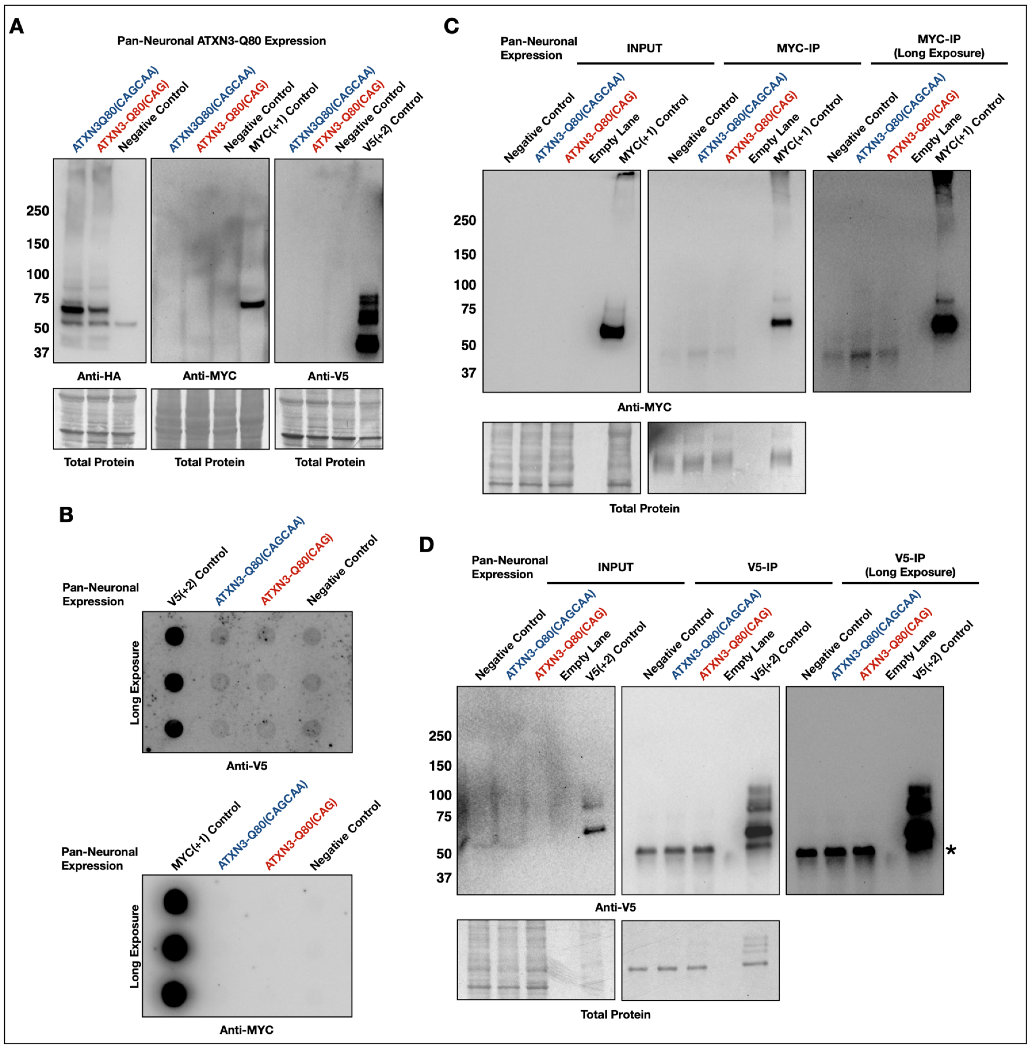 Cells 11 01223 g003 Cells 11 01223 g003