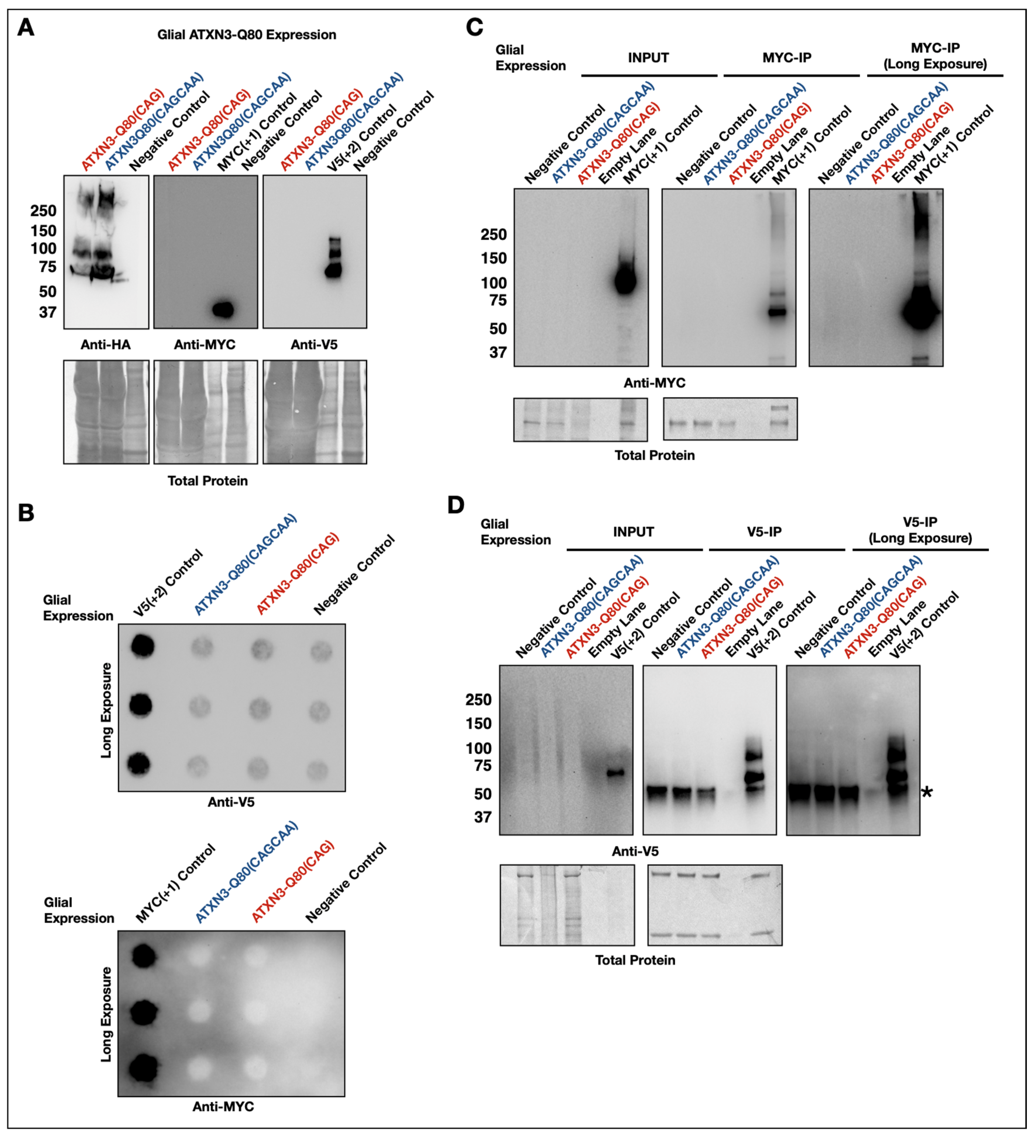 Cells 11 01223 g004 Cells 11 01223 g004