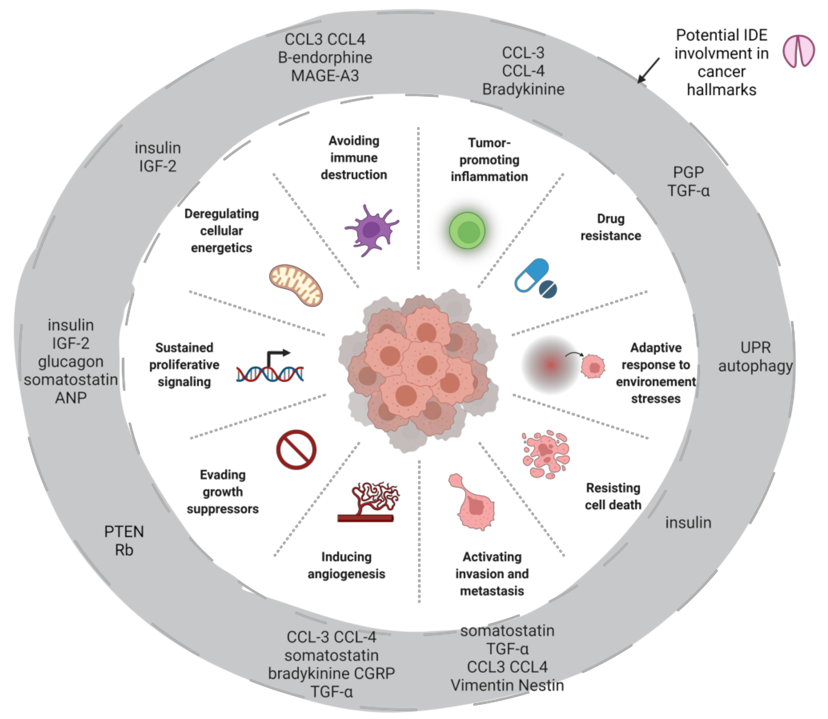 Cells 11 01228 g004