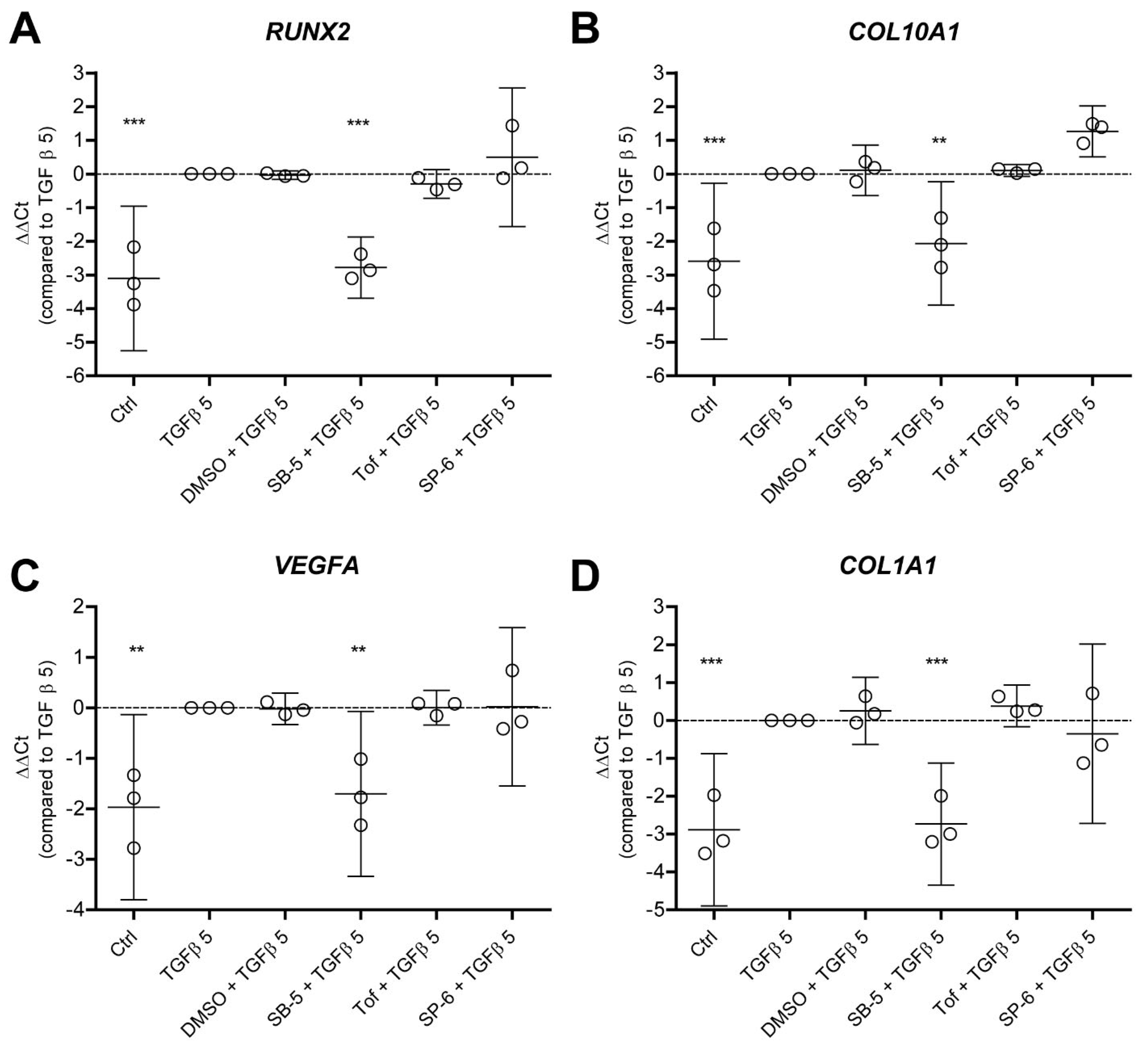 Cells 11 01232 g004 Cells 11 01232 g004