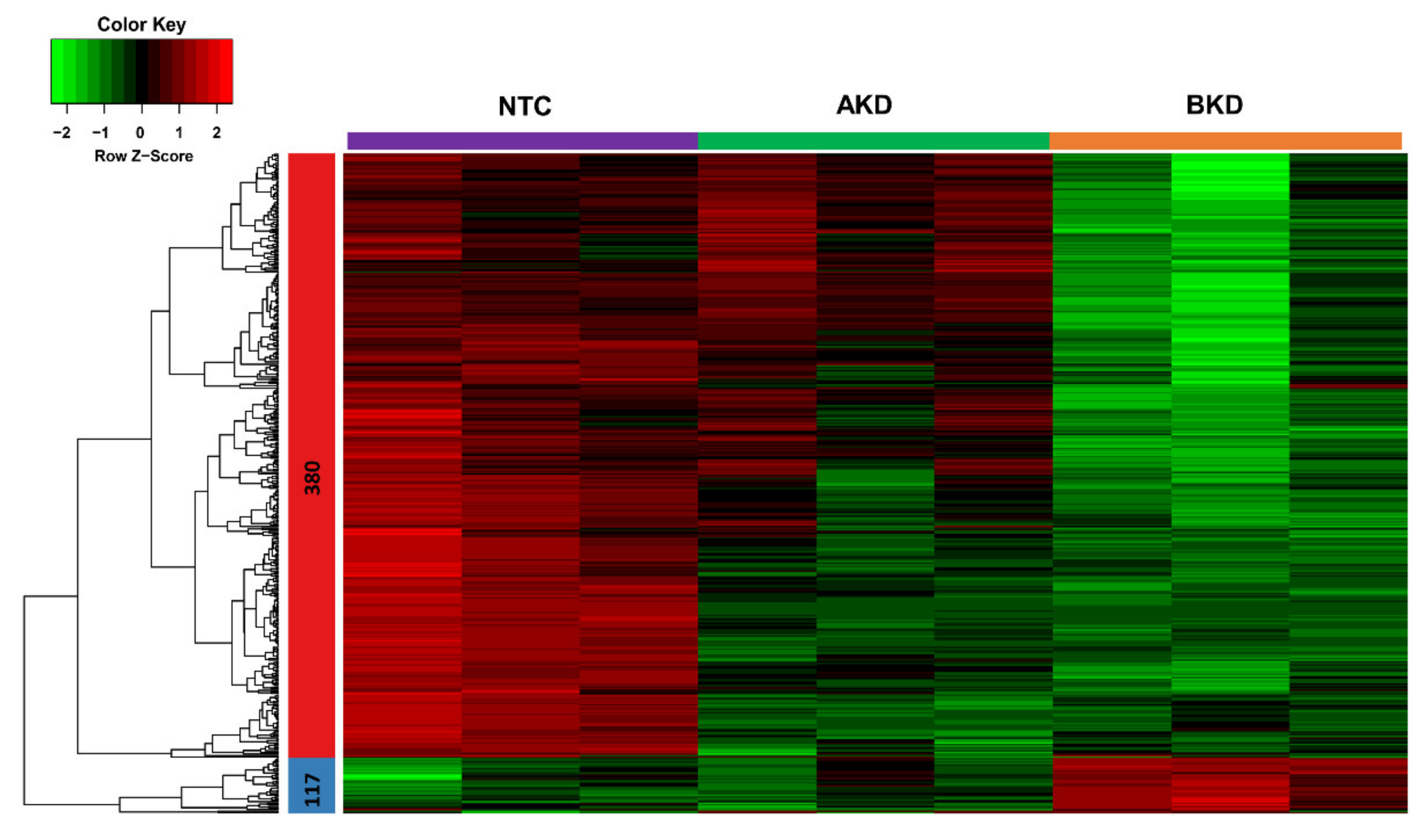 Cells 11 01234 g001 Cells 11 01234 g001