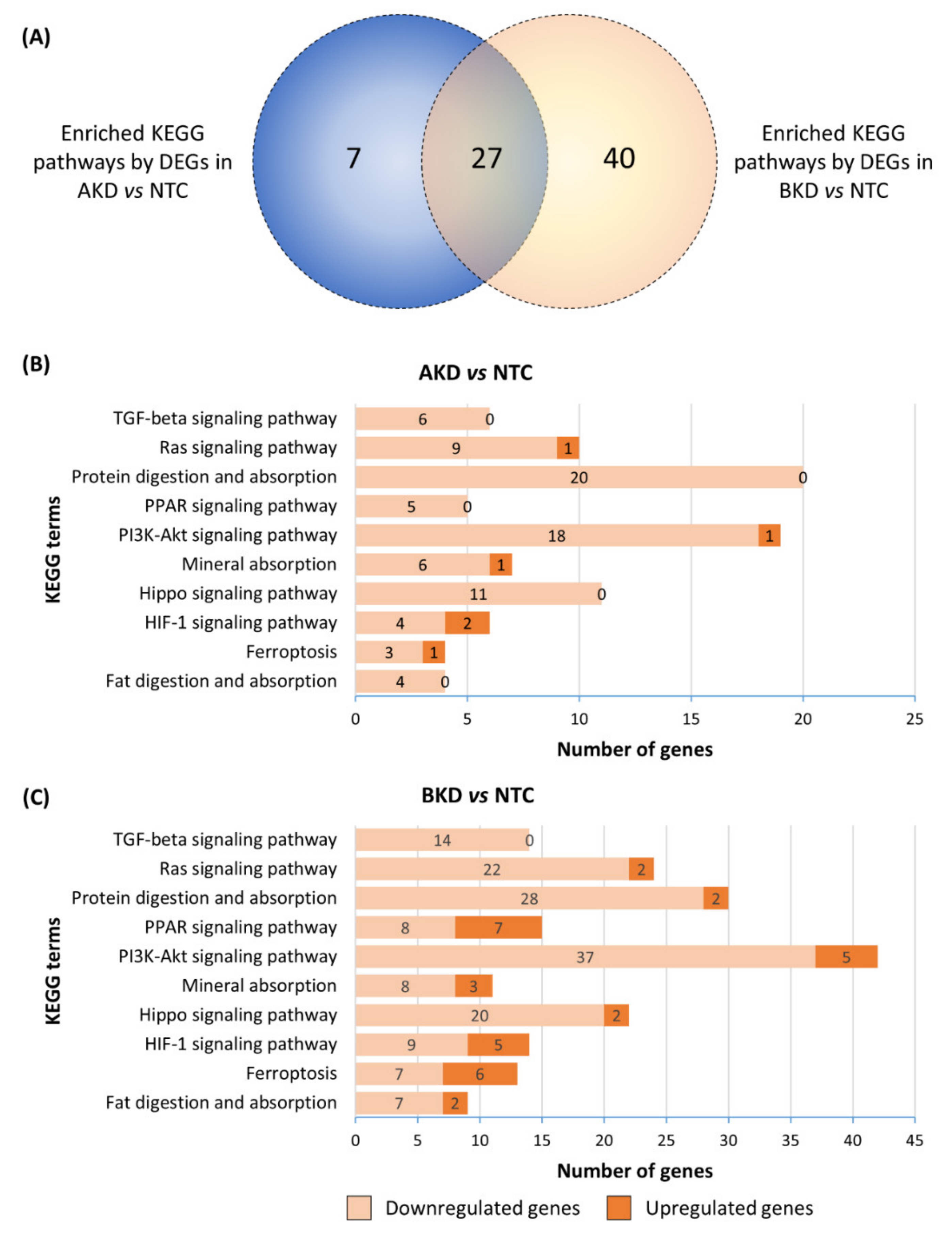 Cells 11 01234 g004 Cells 11 01234 g004