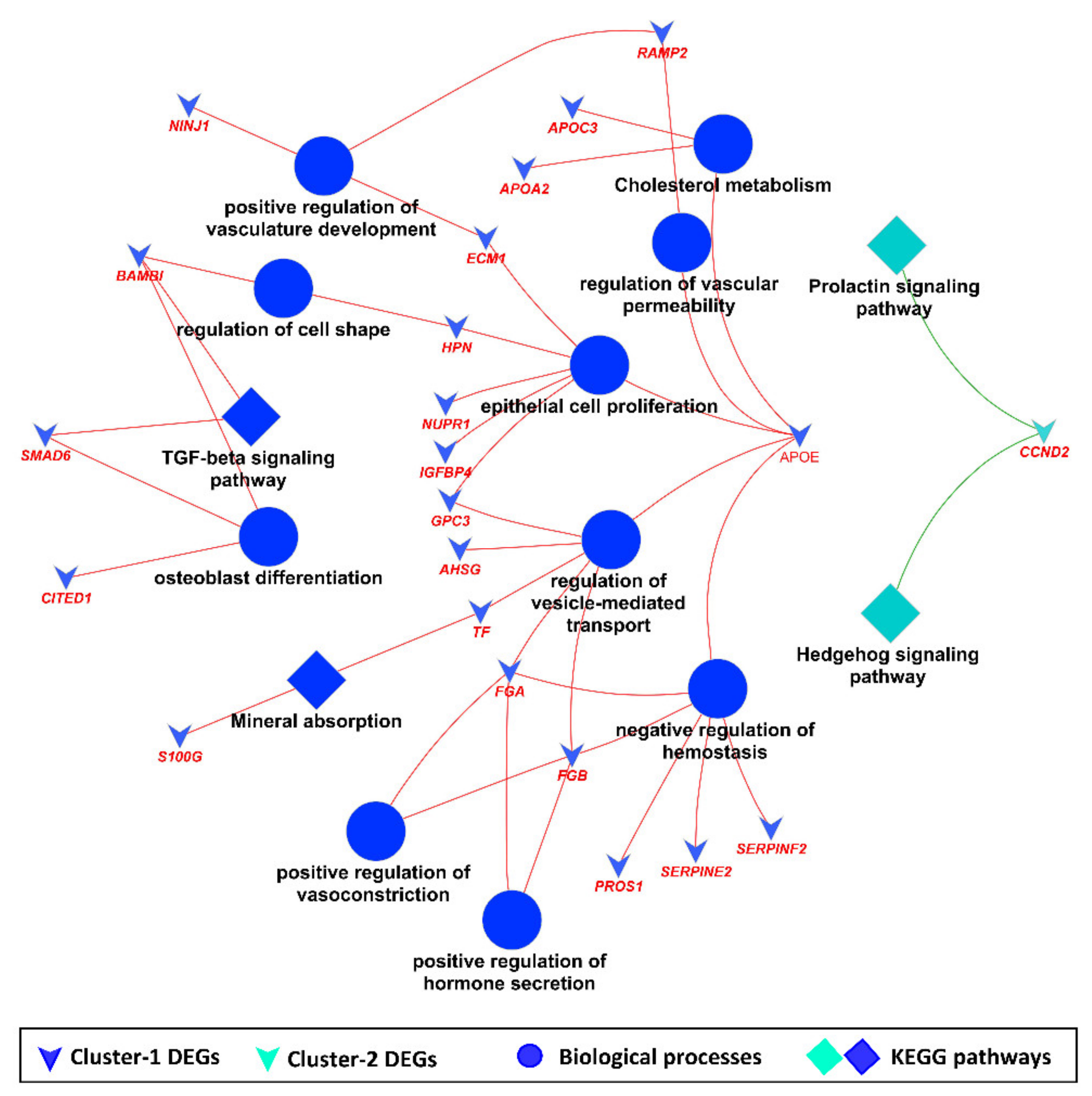 Cells 11 01234 g007 Cells 11 01234 g007