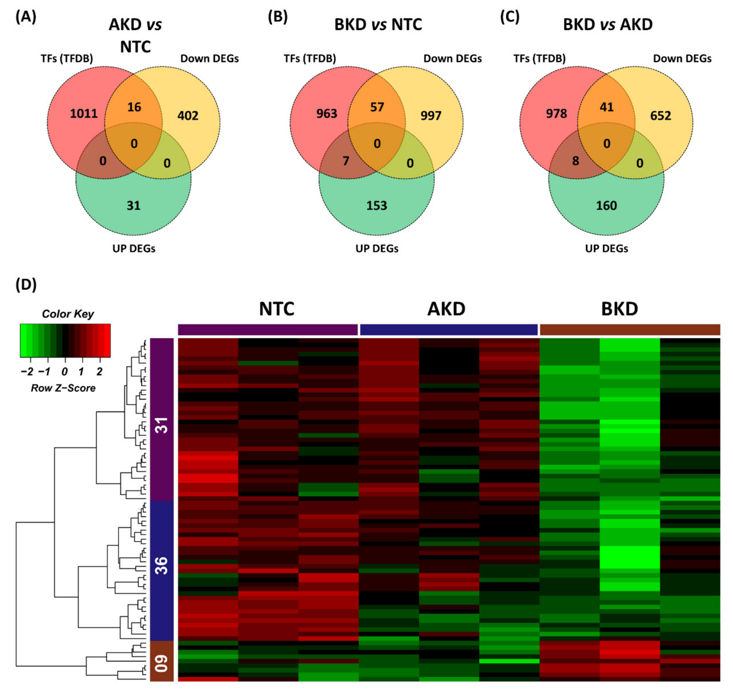 Cells 11 01234 g010 Cells 11 01234 g010