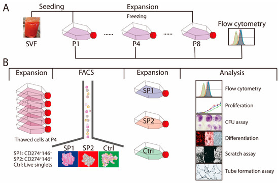 forum シグネイチャーモデル Escape from Human Immunodeficiency Virus Type 1 (HIV-1