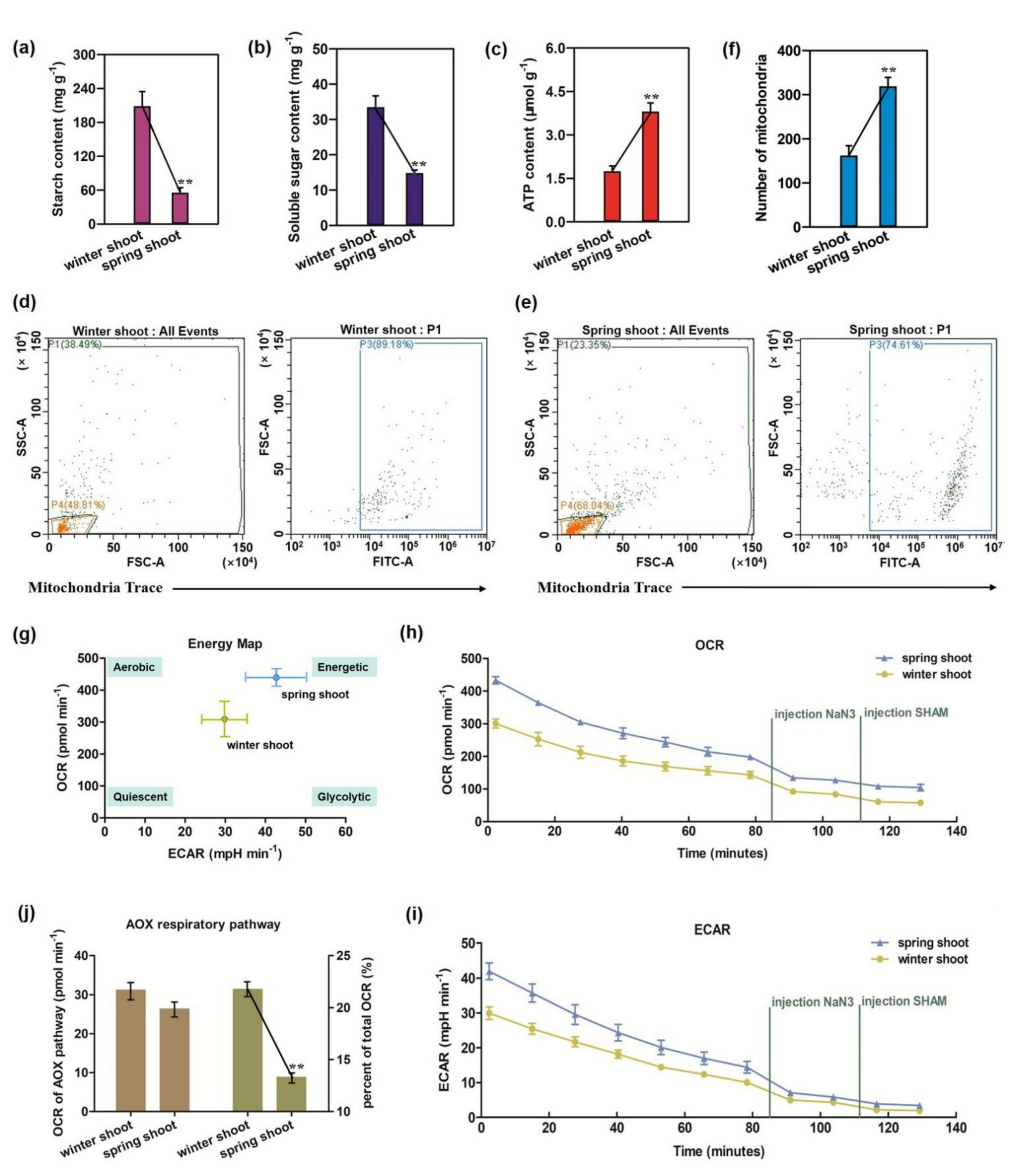 Cells 11 01240 g001 Cells 11 01240 g001