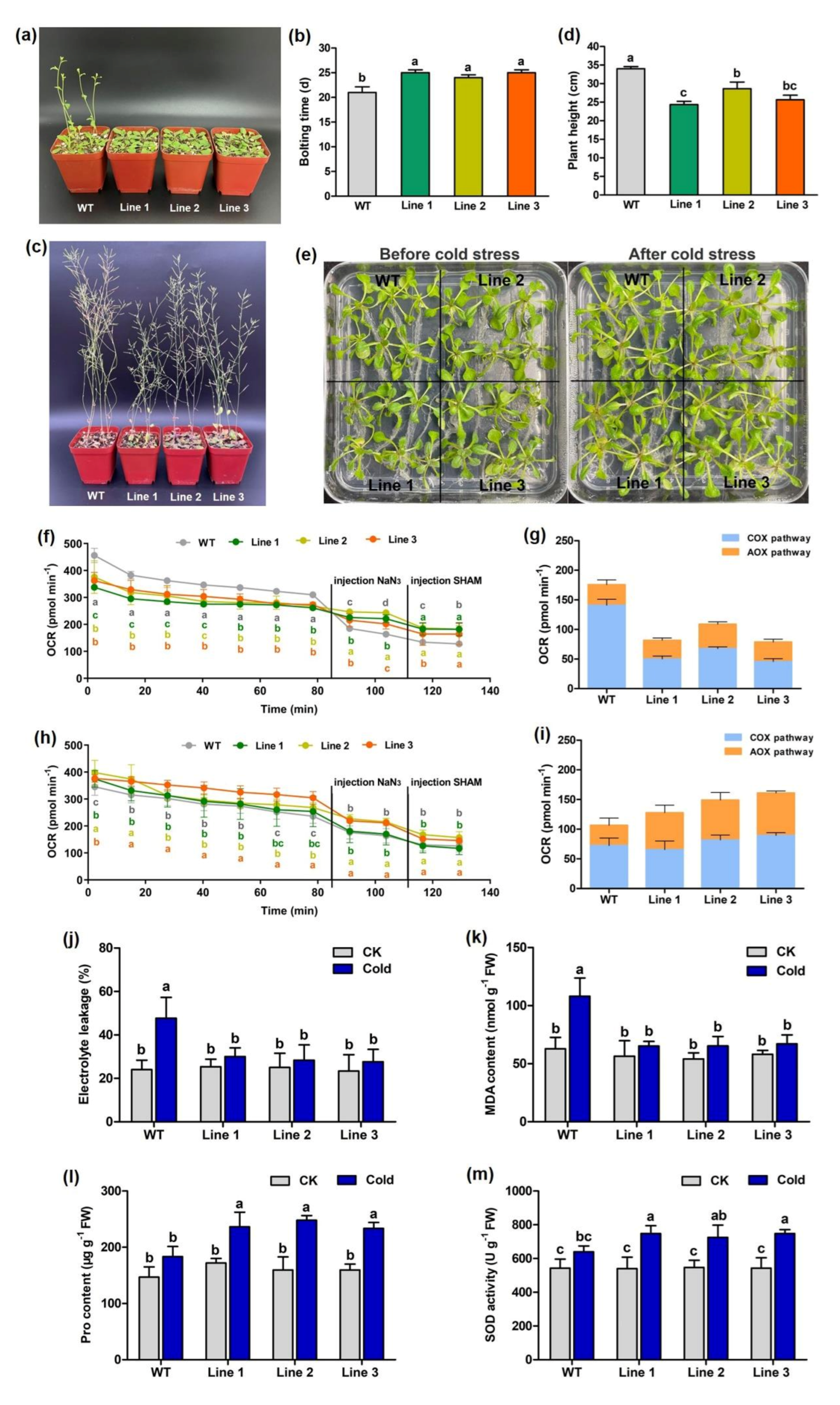 Cells 11 01240 g007 Cells 11 01240 g007