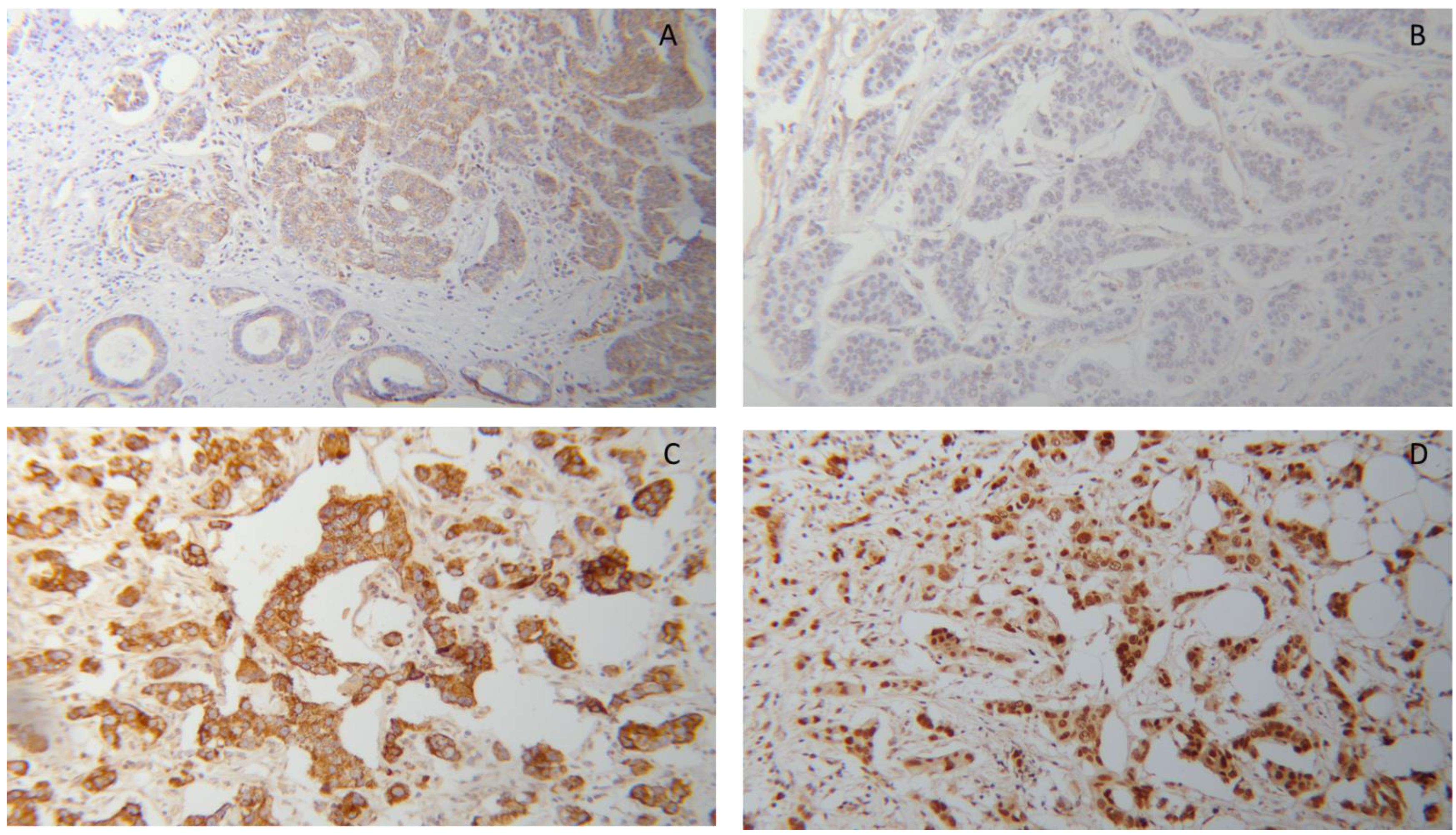 Cells 11 01244 g001 Cells 11 01244 g001