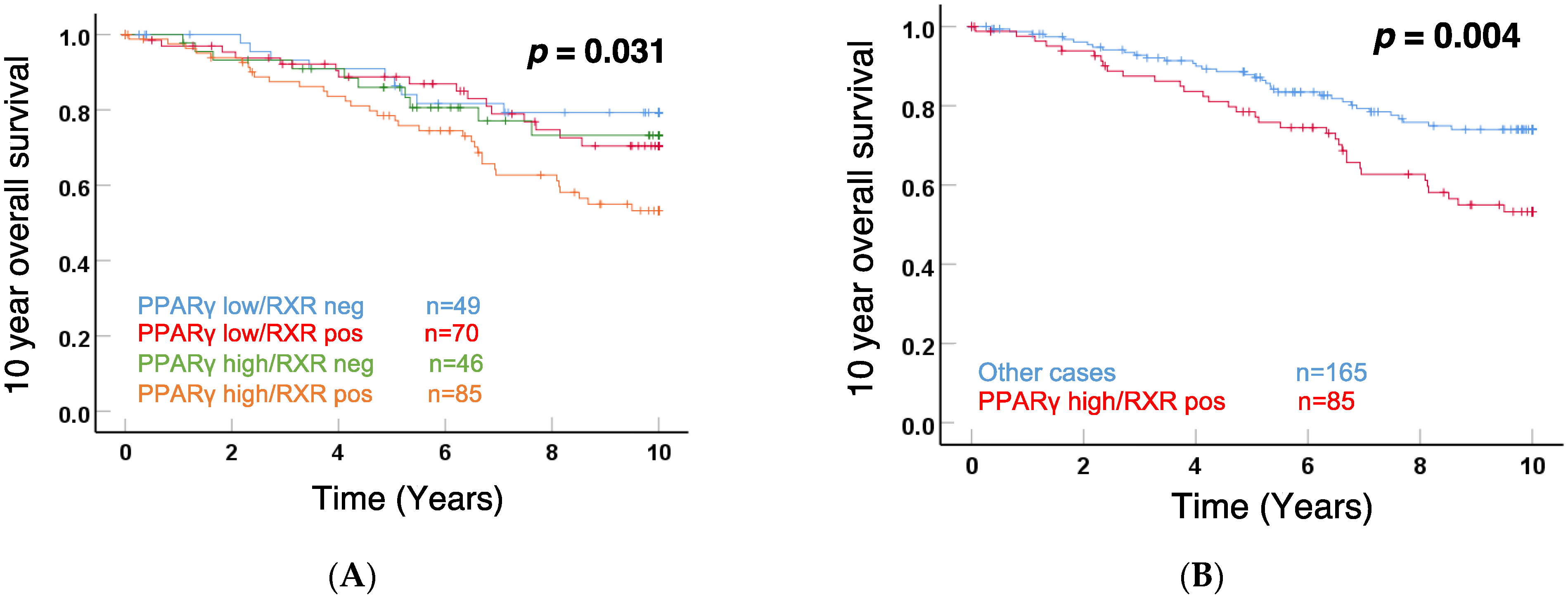Cells 11 01244 g002 Cells 11 01244 g002