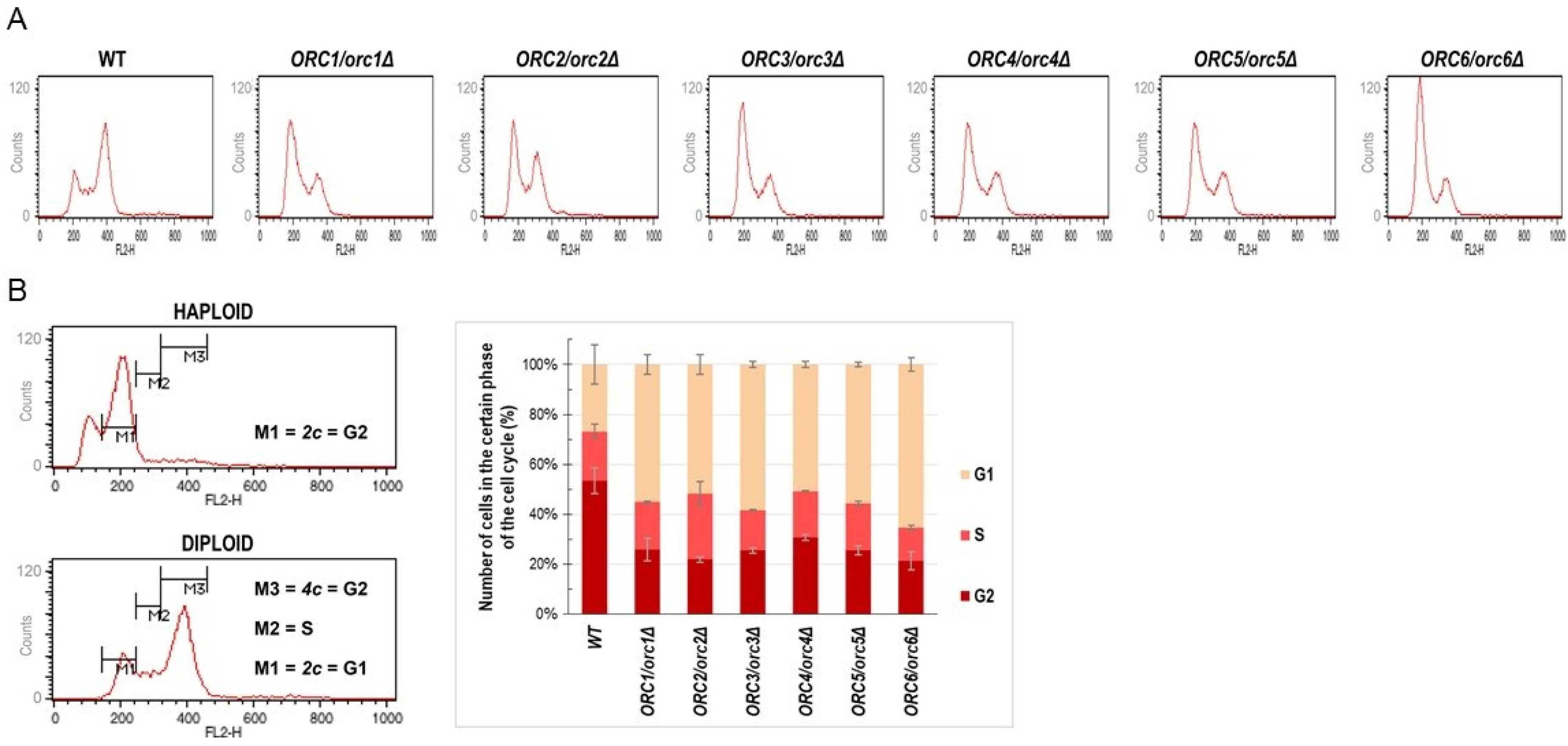 Cells 11 01252 g002 Cells 11 01252 g002
