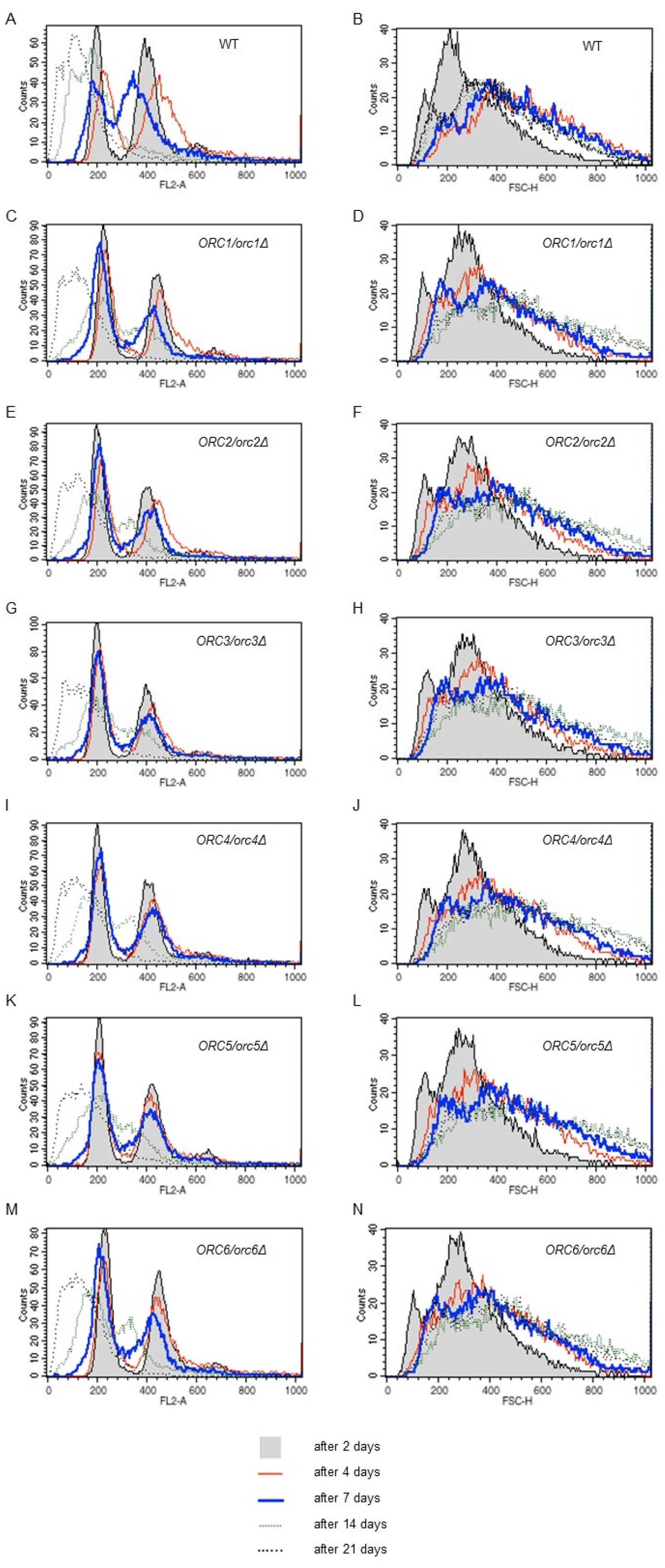 Cells 11 01252 g008 Cells 11 01252 g008