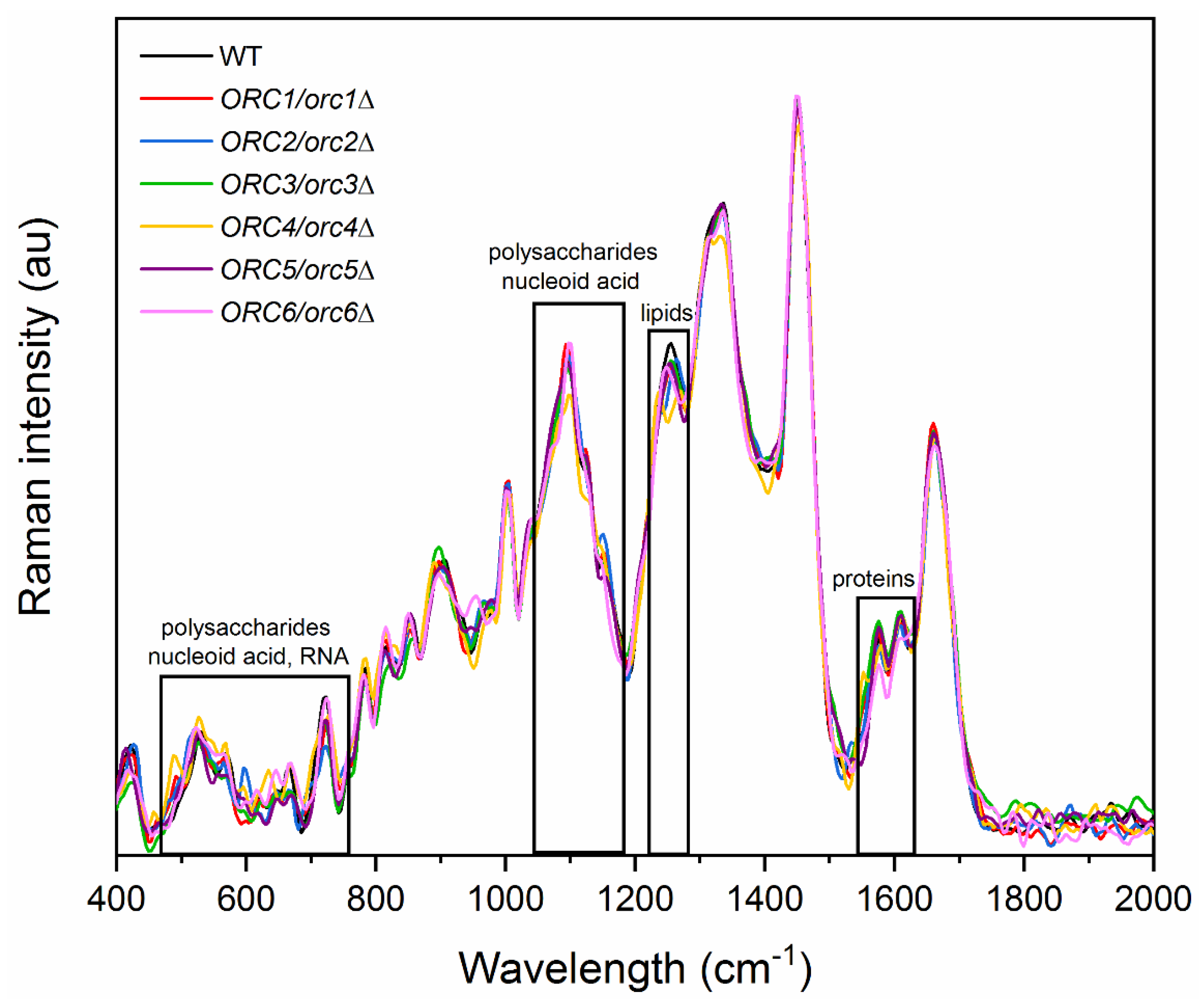 Cells 11 01252 g009 Cells 11 01252 g009